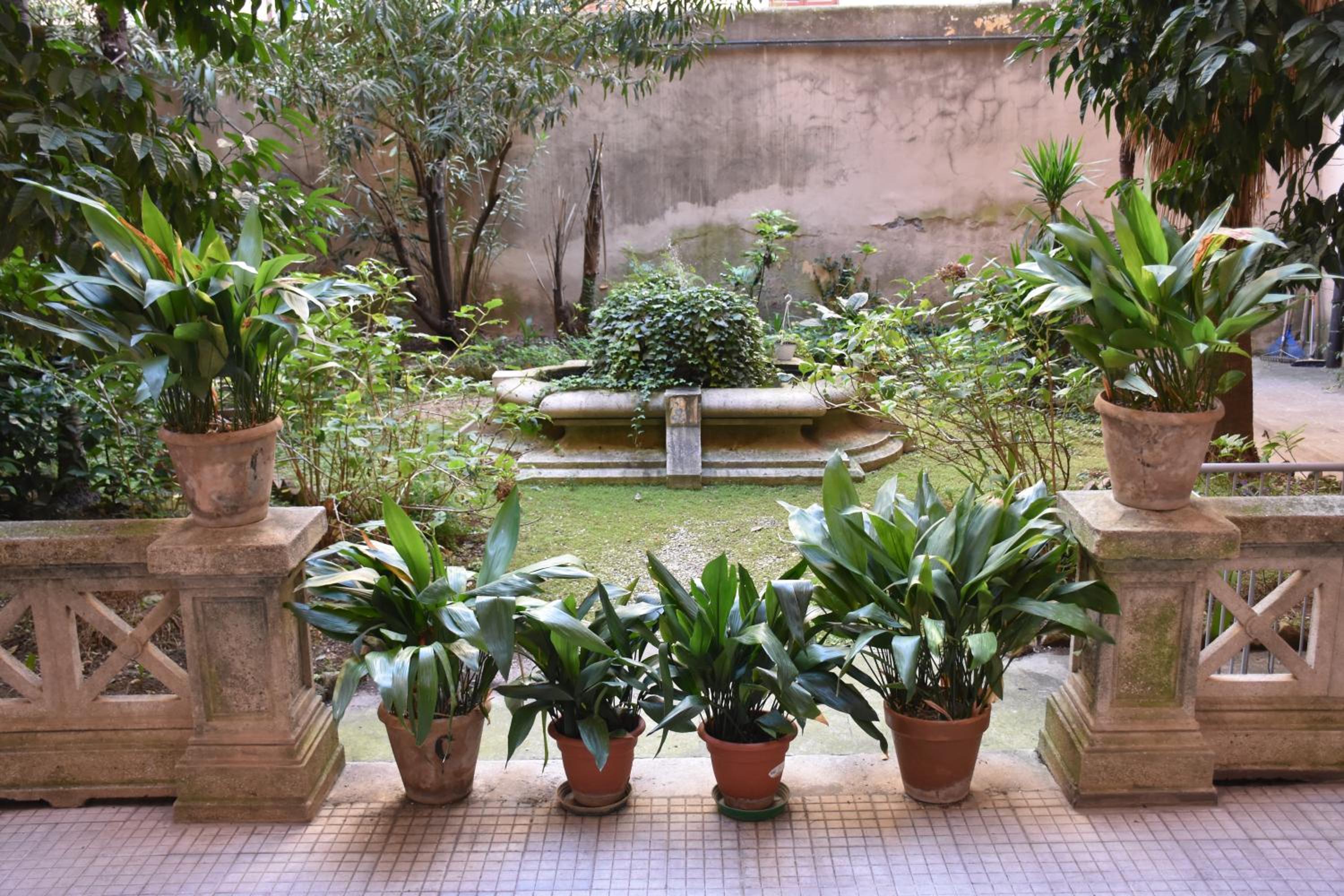 Domus Catone