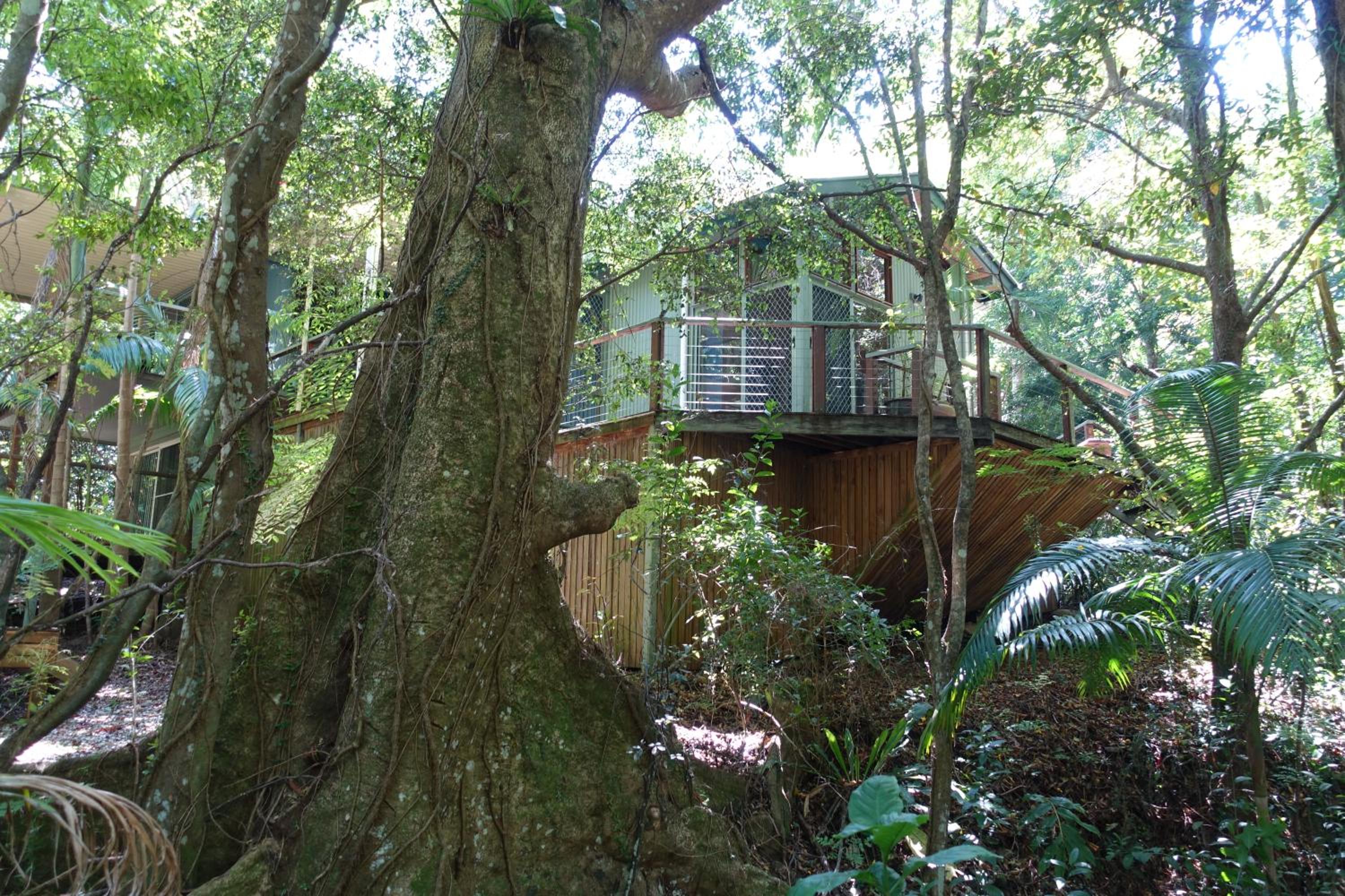Treetops Montville