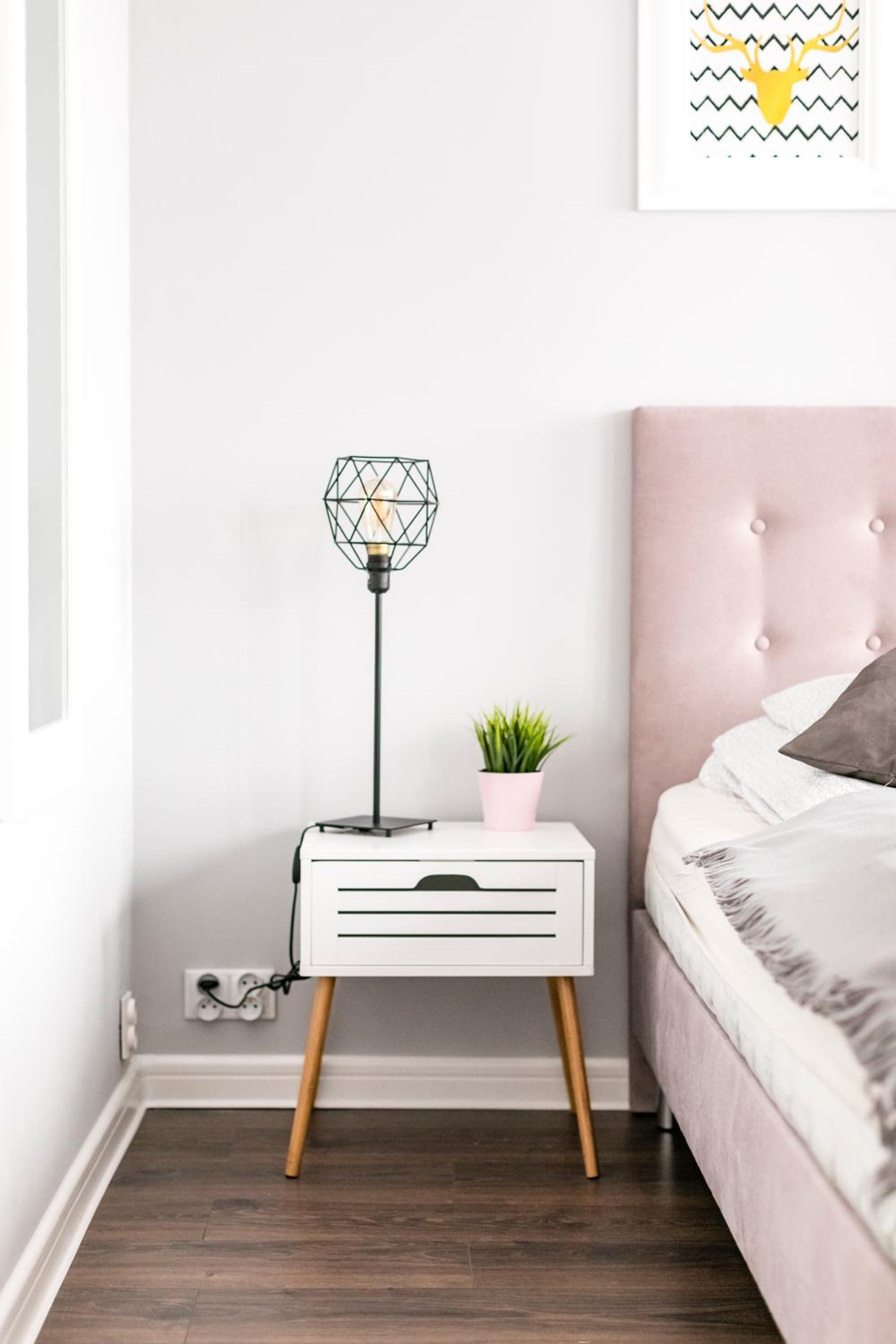 Apartamenty Stare Zoo