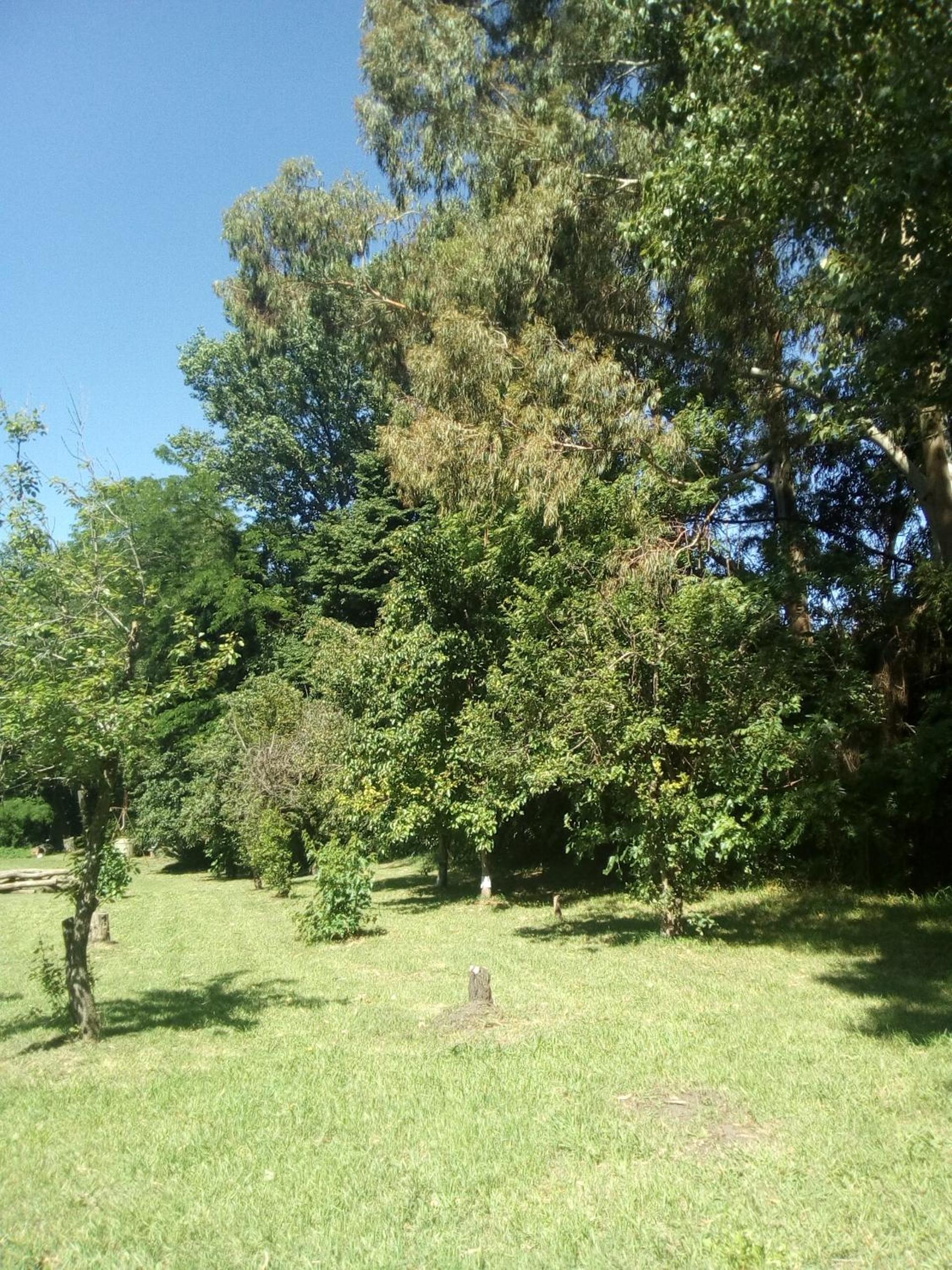 Rancho Apar T -