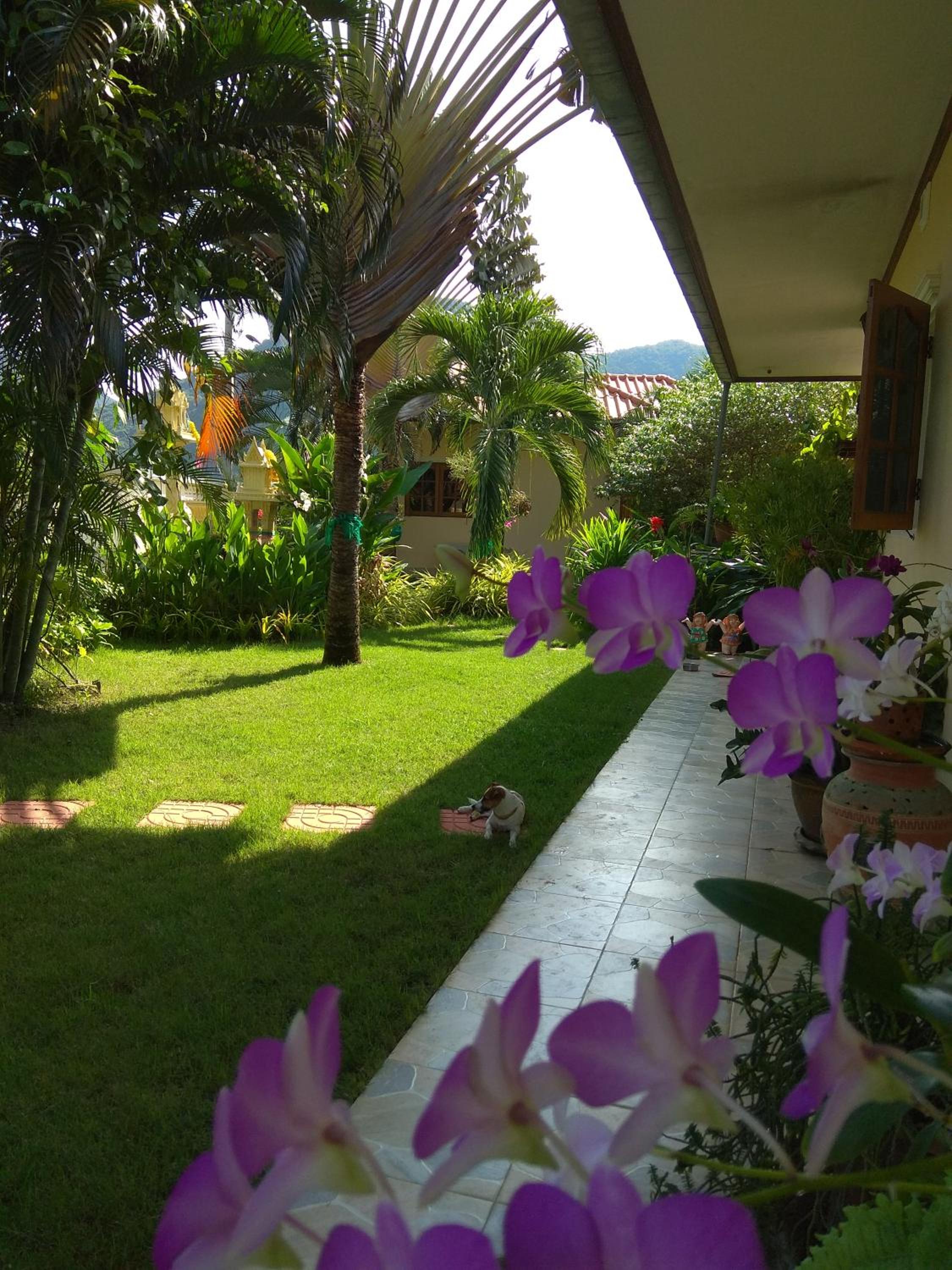 Photo 63