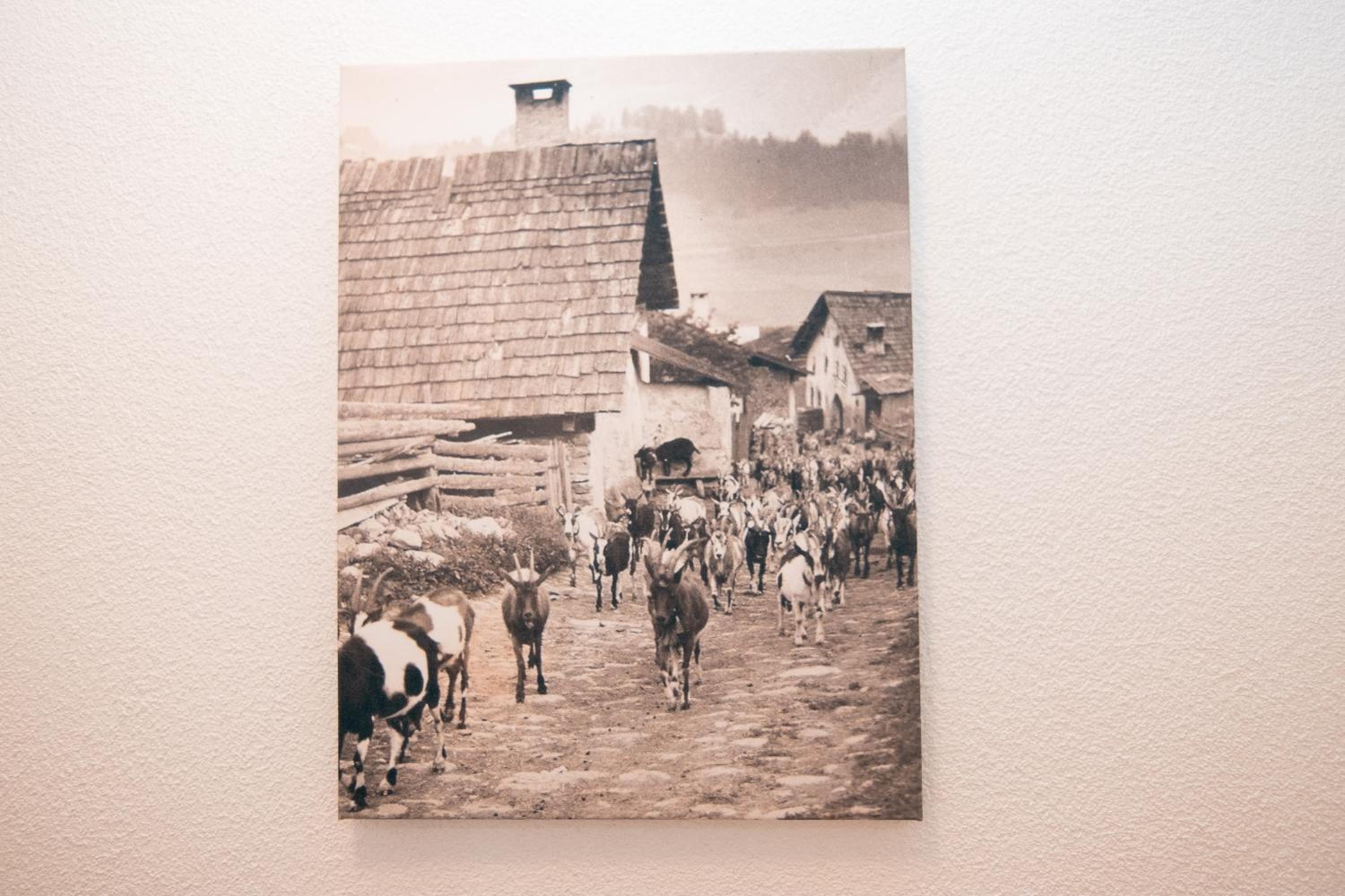 Apart Bauernhof ,,Becka Hof´´