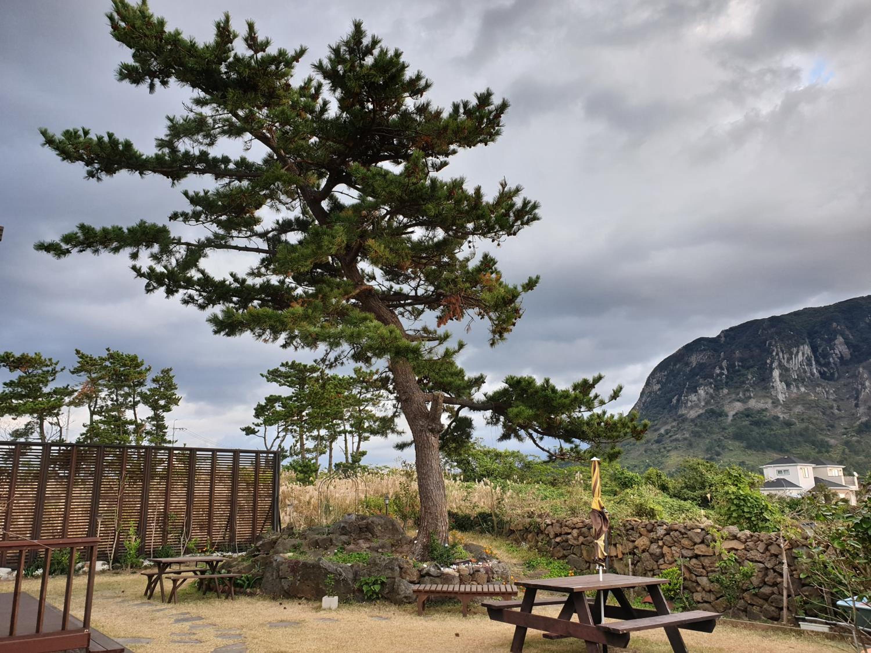 Wind Jeju Cafe & Pension