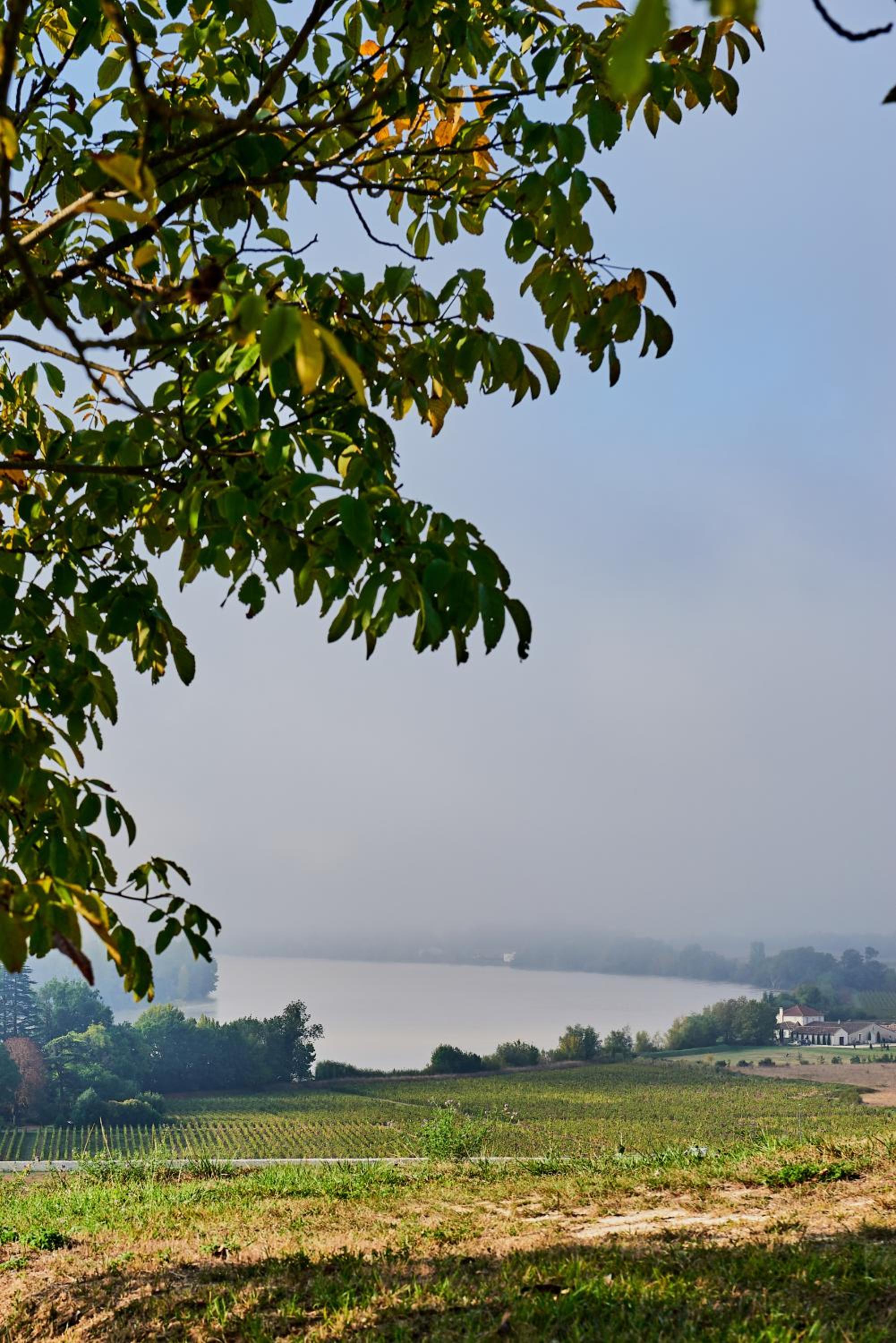 Château Richelieu view 3