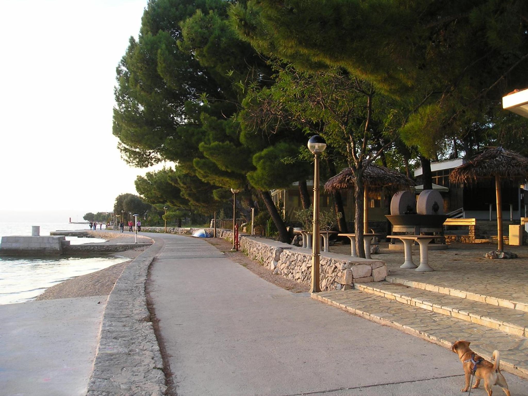 Photo 30
