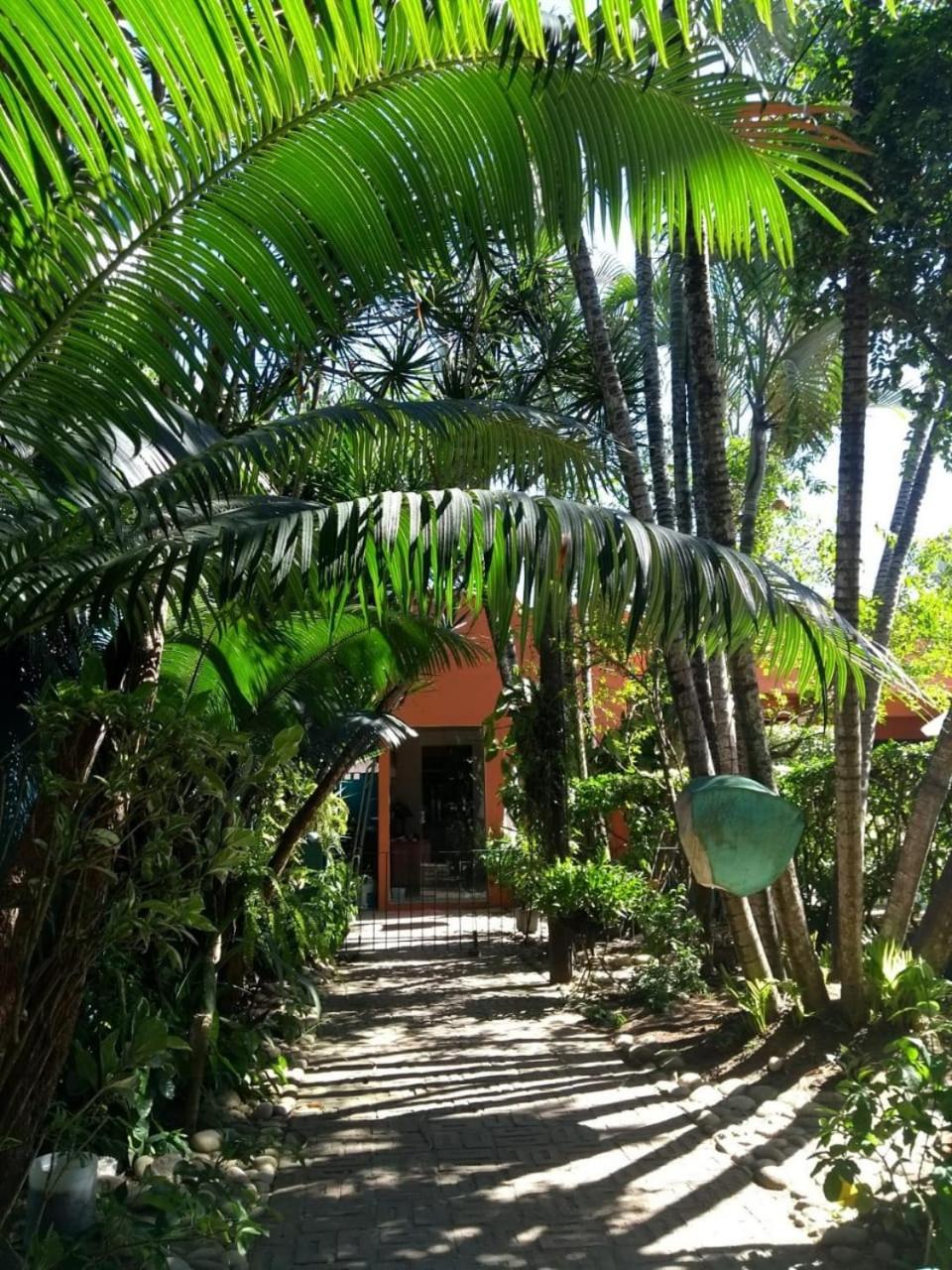 Photo 8