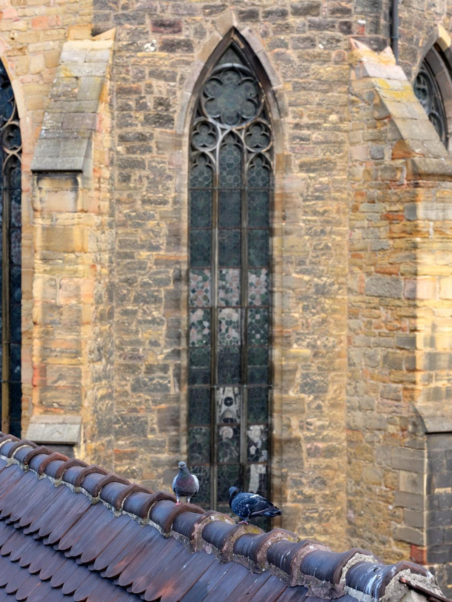 Photo 45