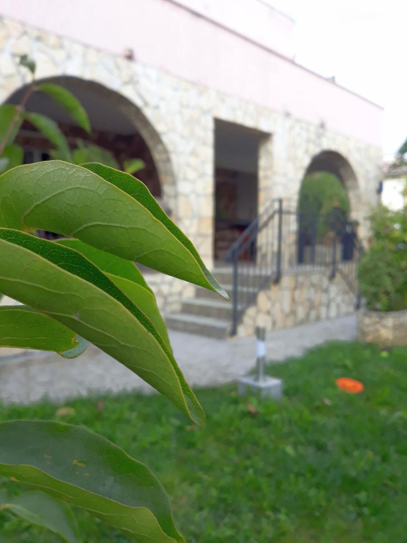 Photo 47