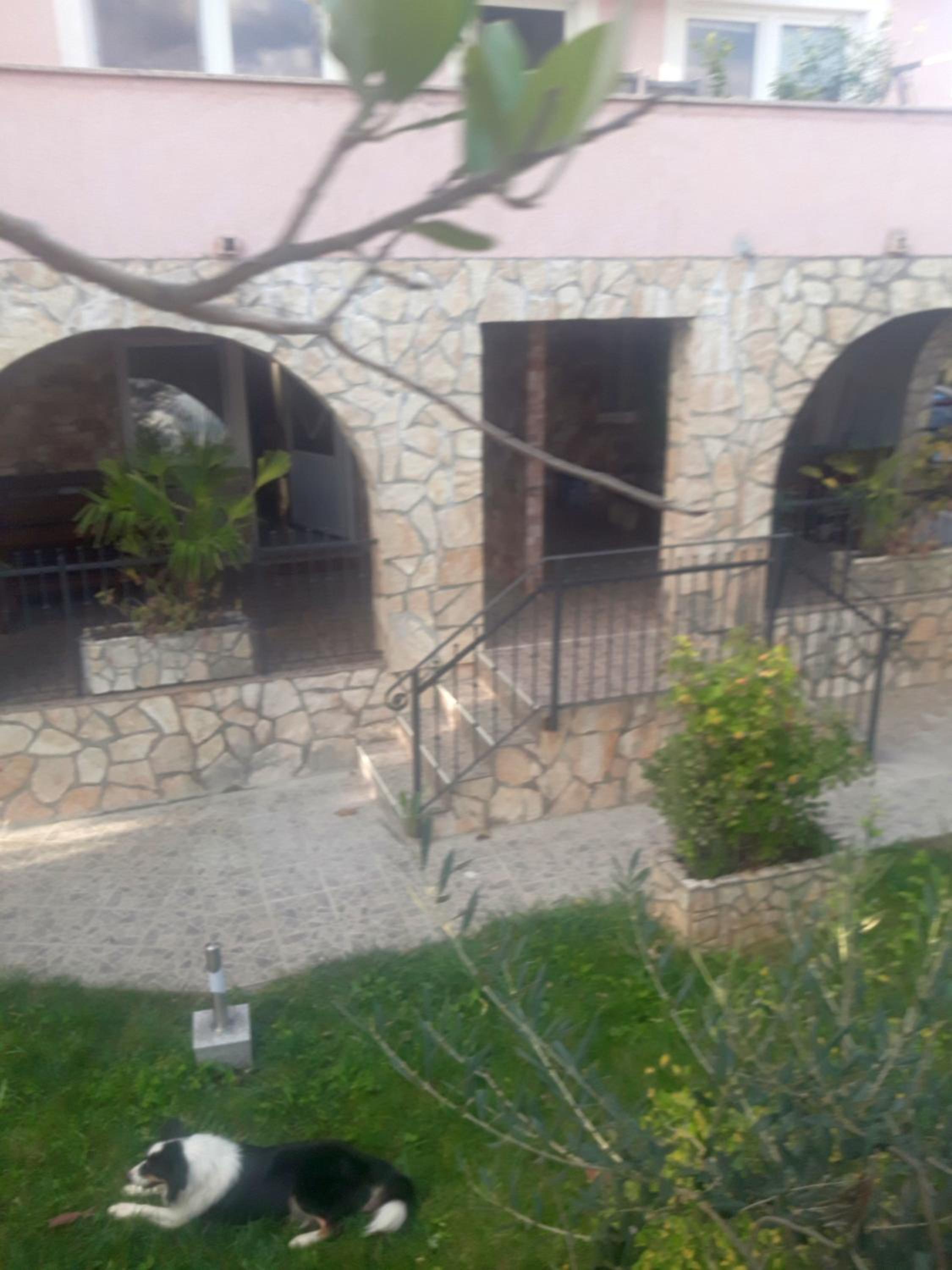 Photo 42