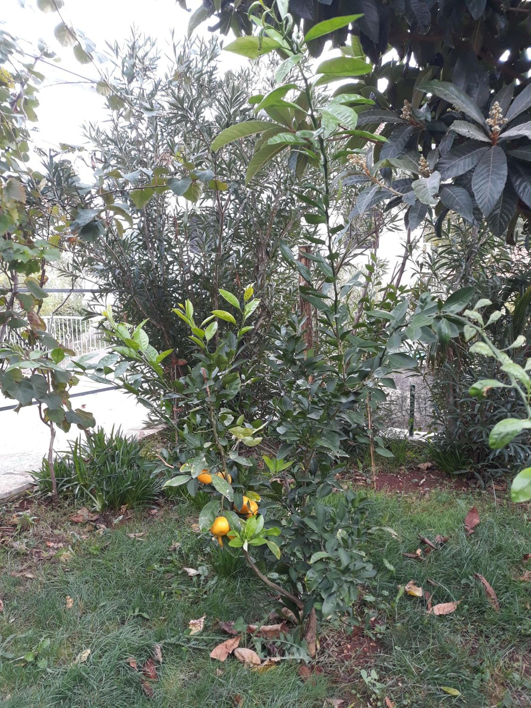 Photo 32
