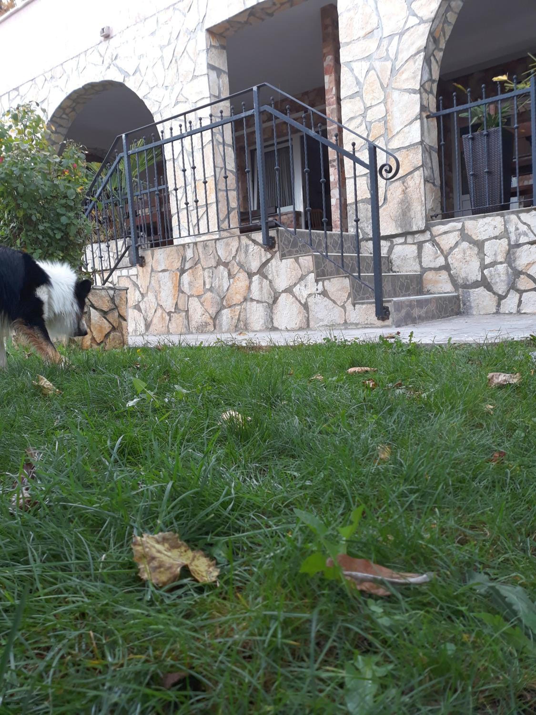 Photo 34
