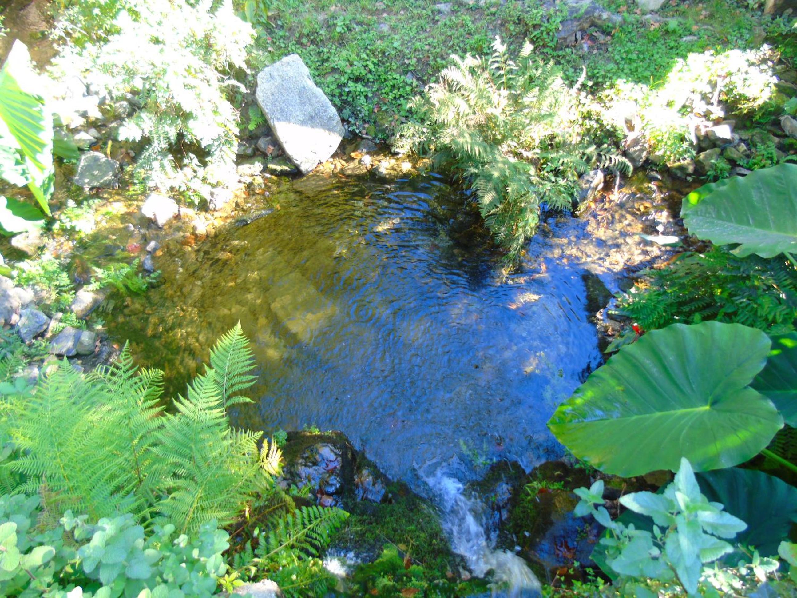 Photo 42