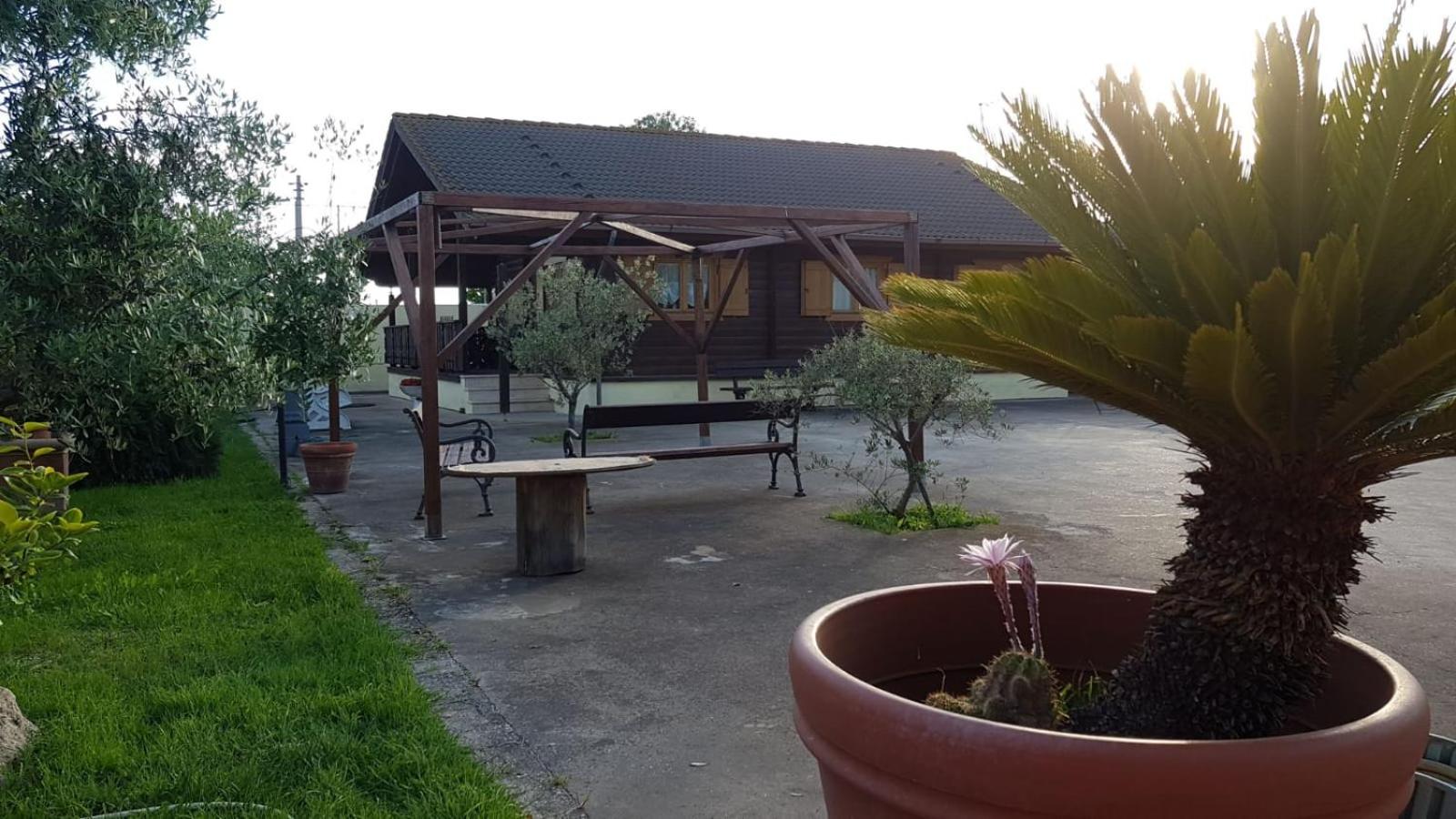 Photo 13