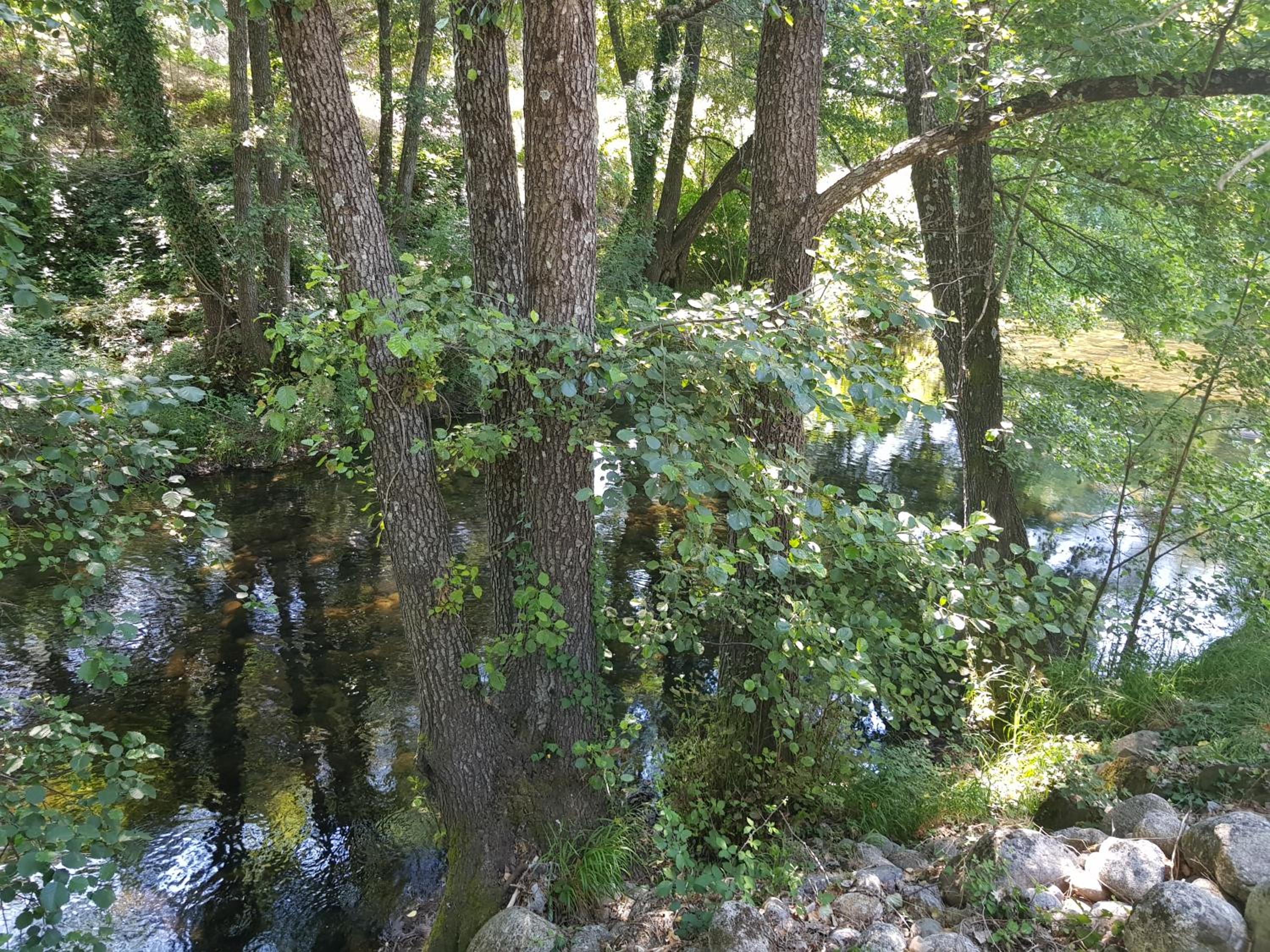 Photo 46