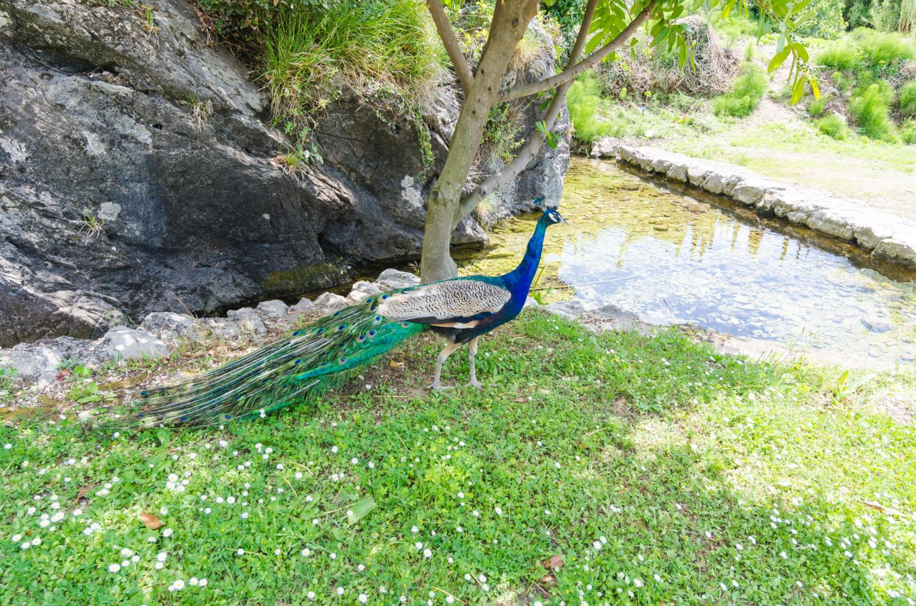 Photo 13
