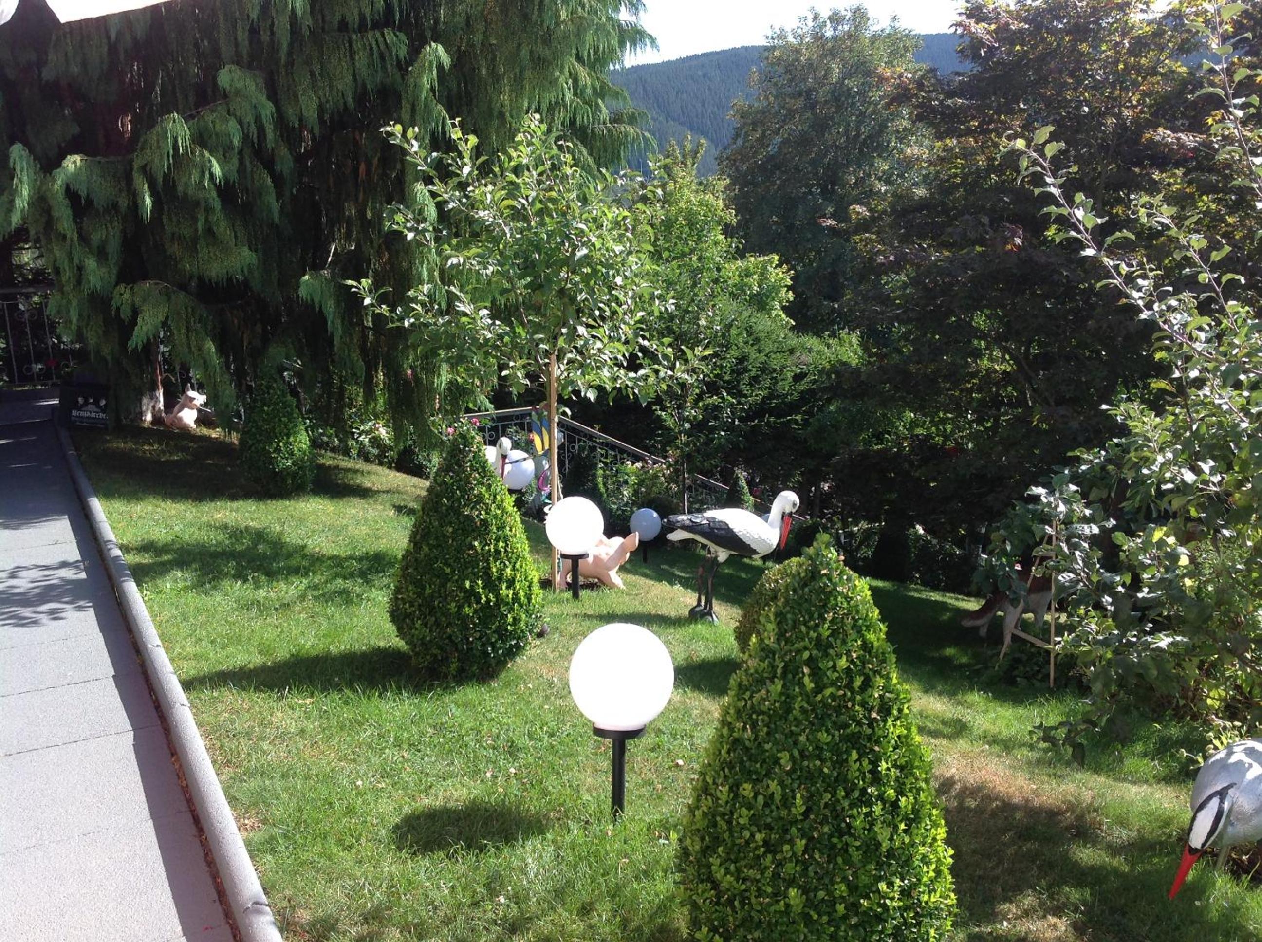 Photo 26