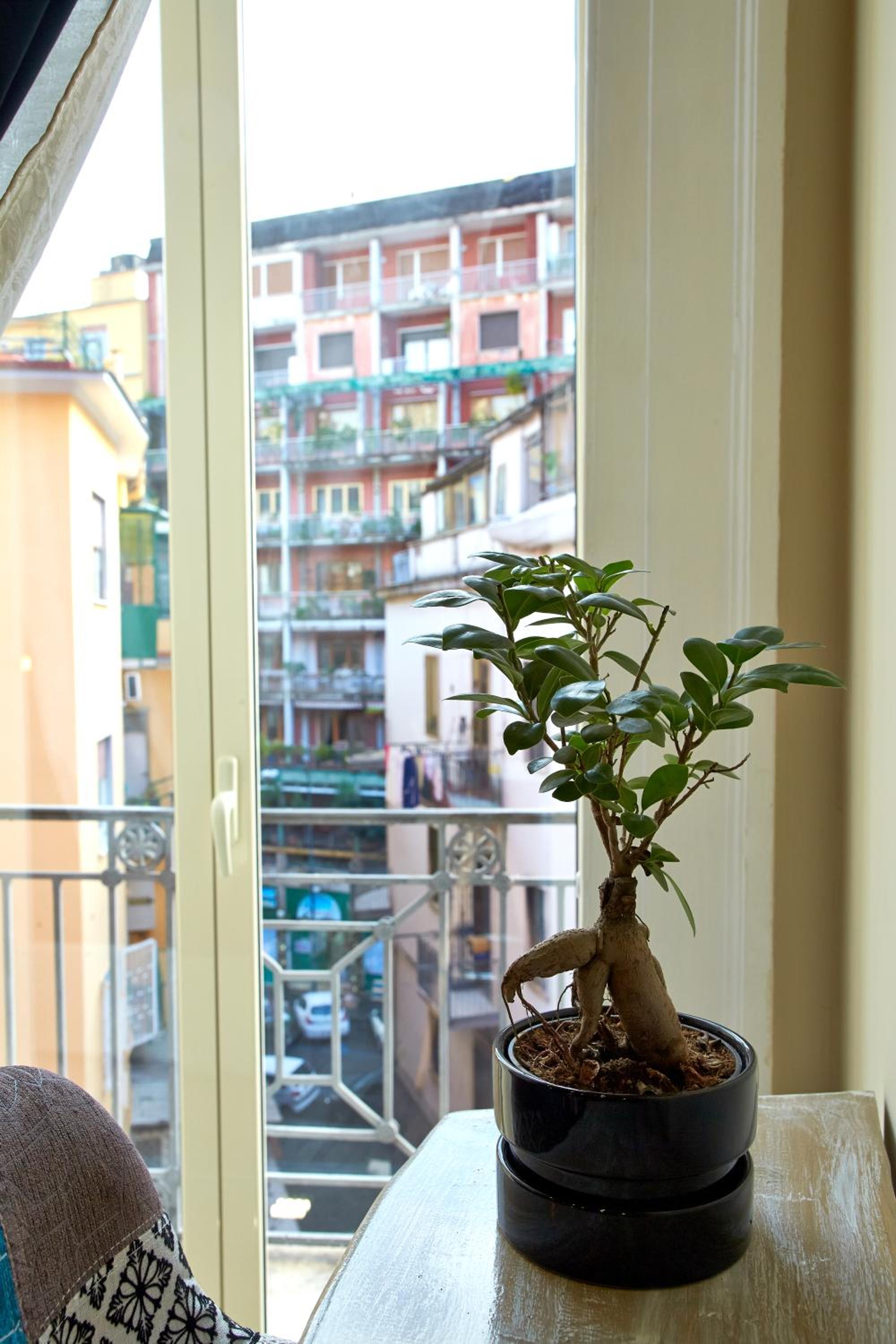 Artisti Sustinea Rooms