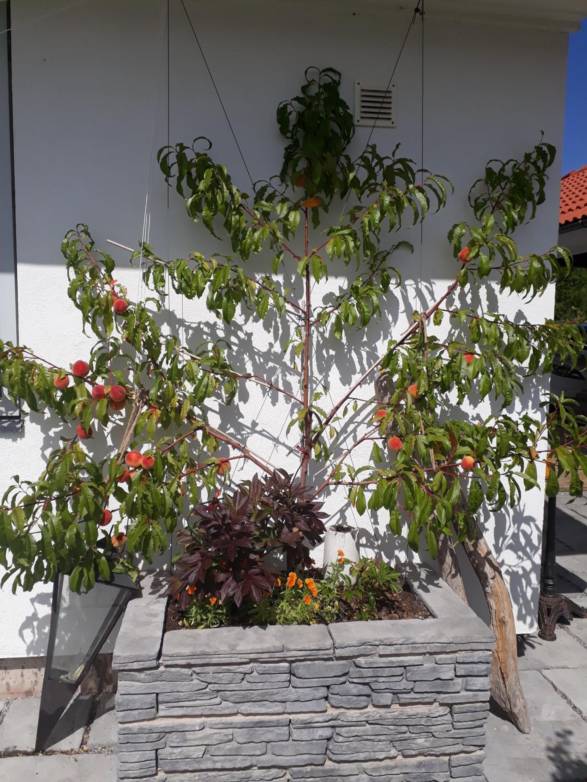 Photo 16