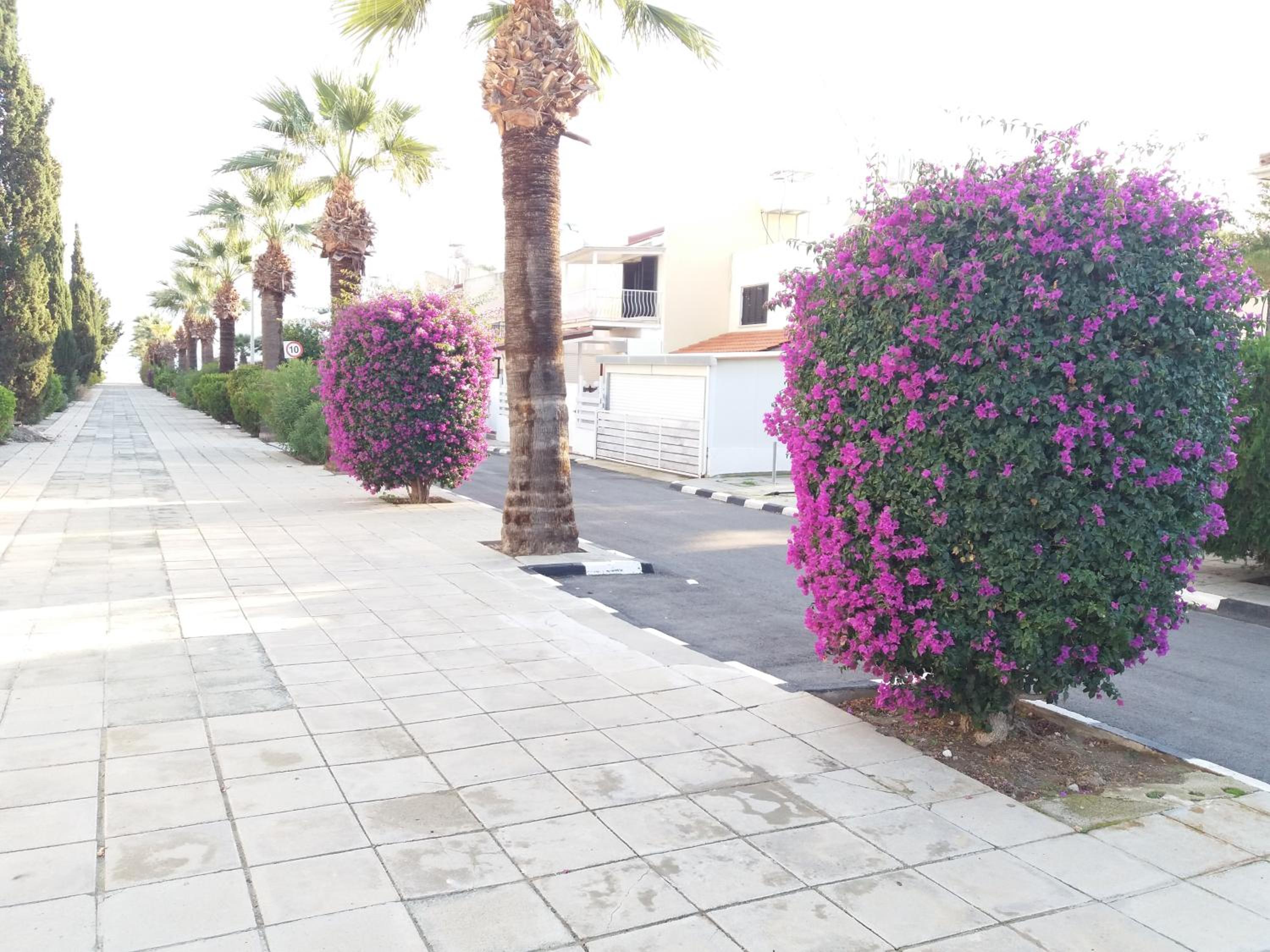 Pirgos beach house
