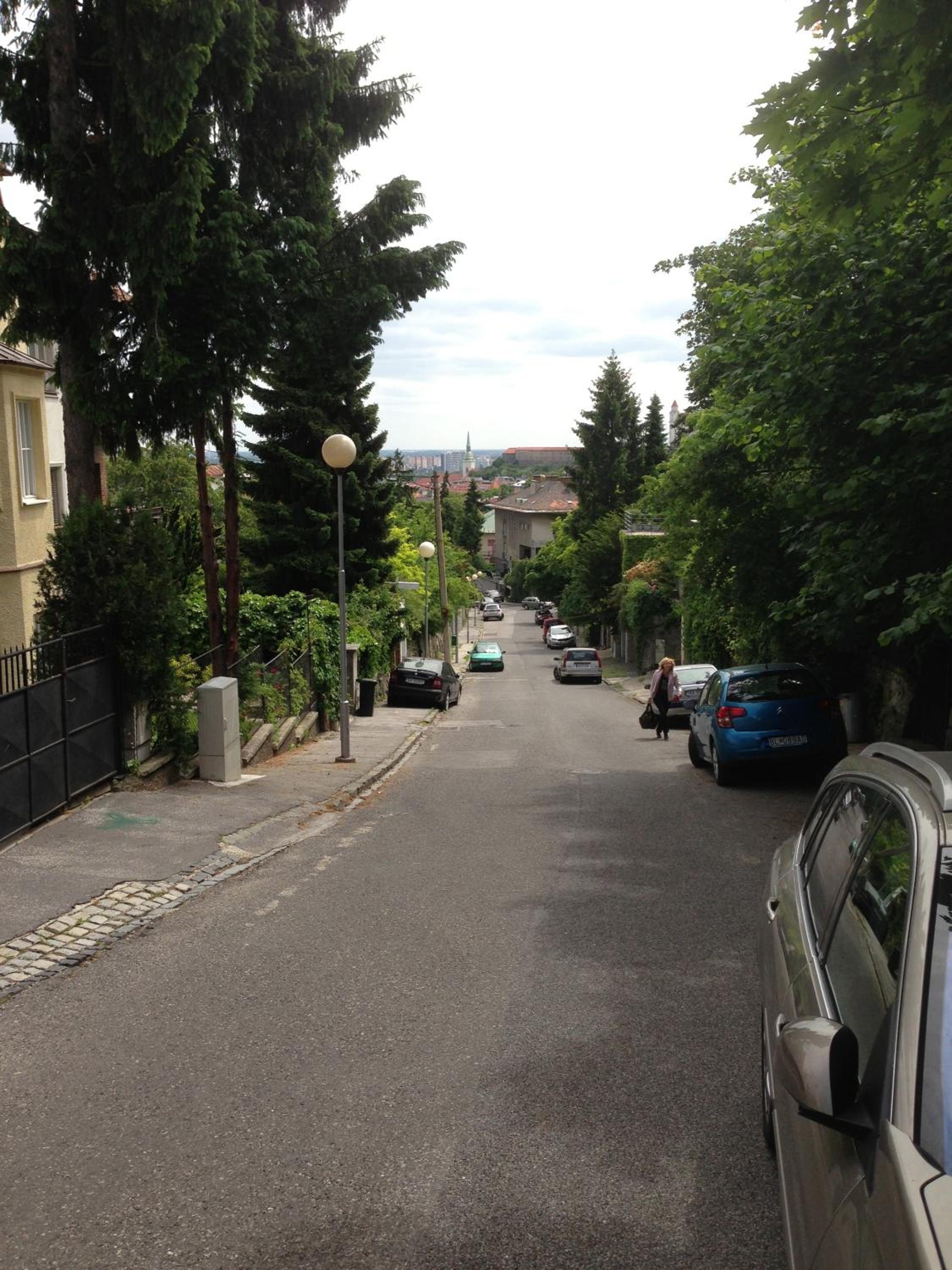 Photo 31