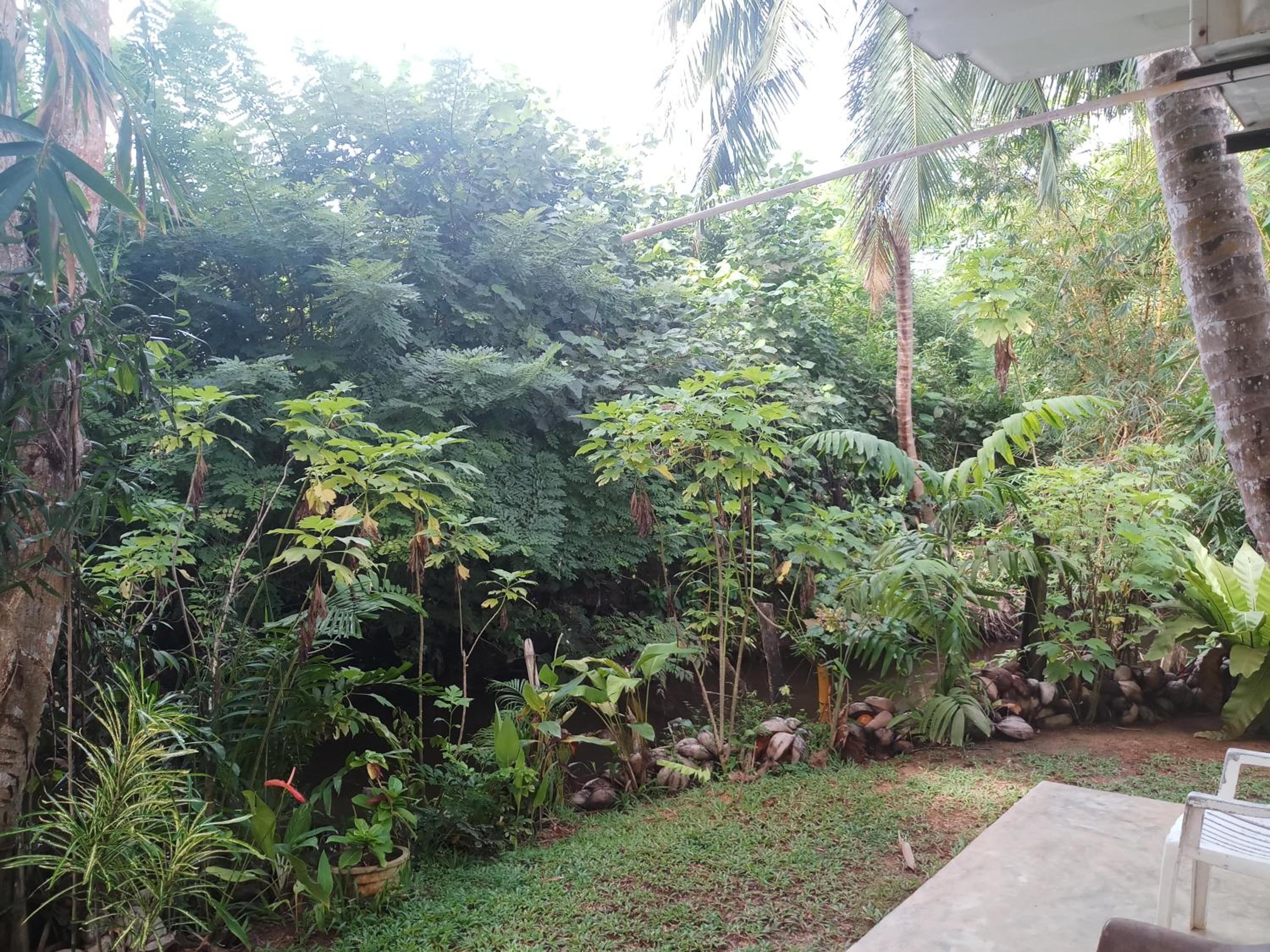 Photo 26