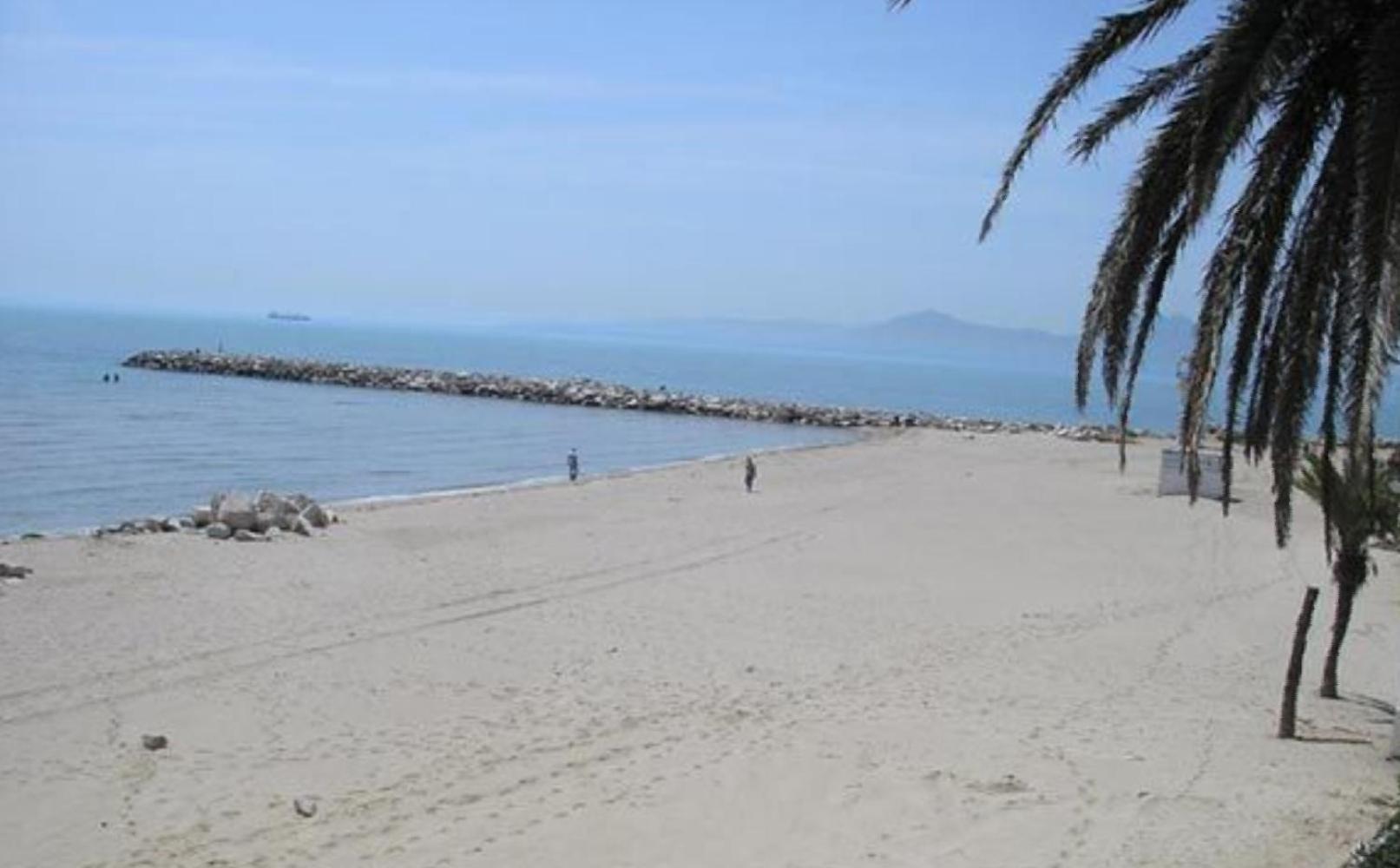 La perle bleue, photo 31