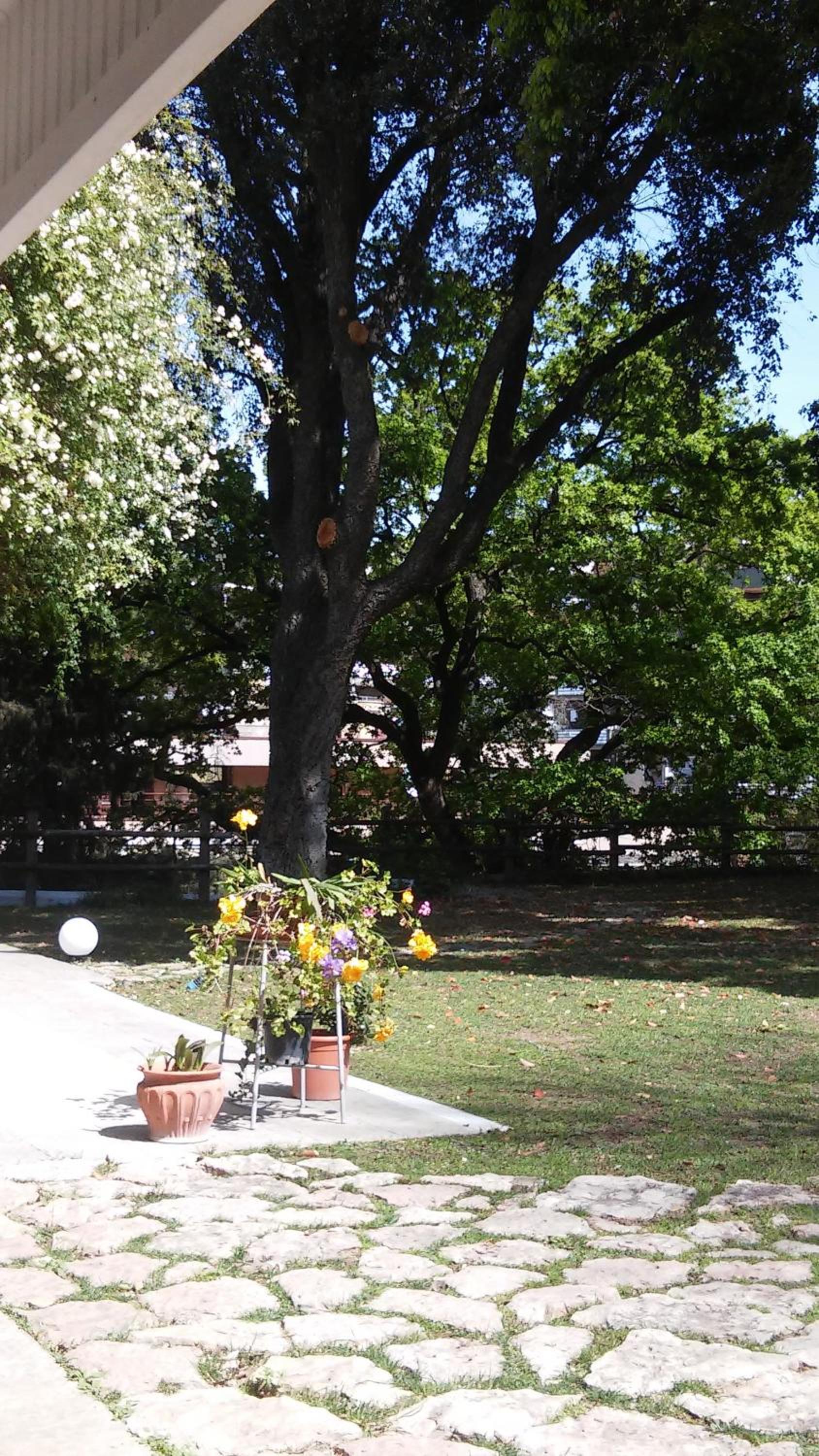 Relais La Canfora