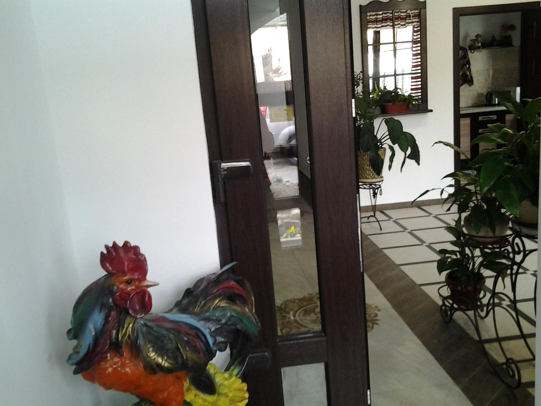 Photo 27