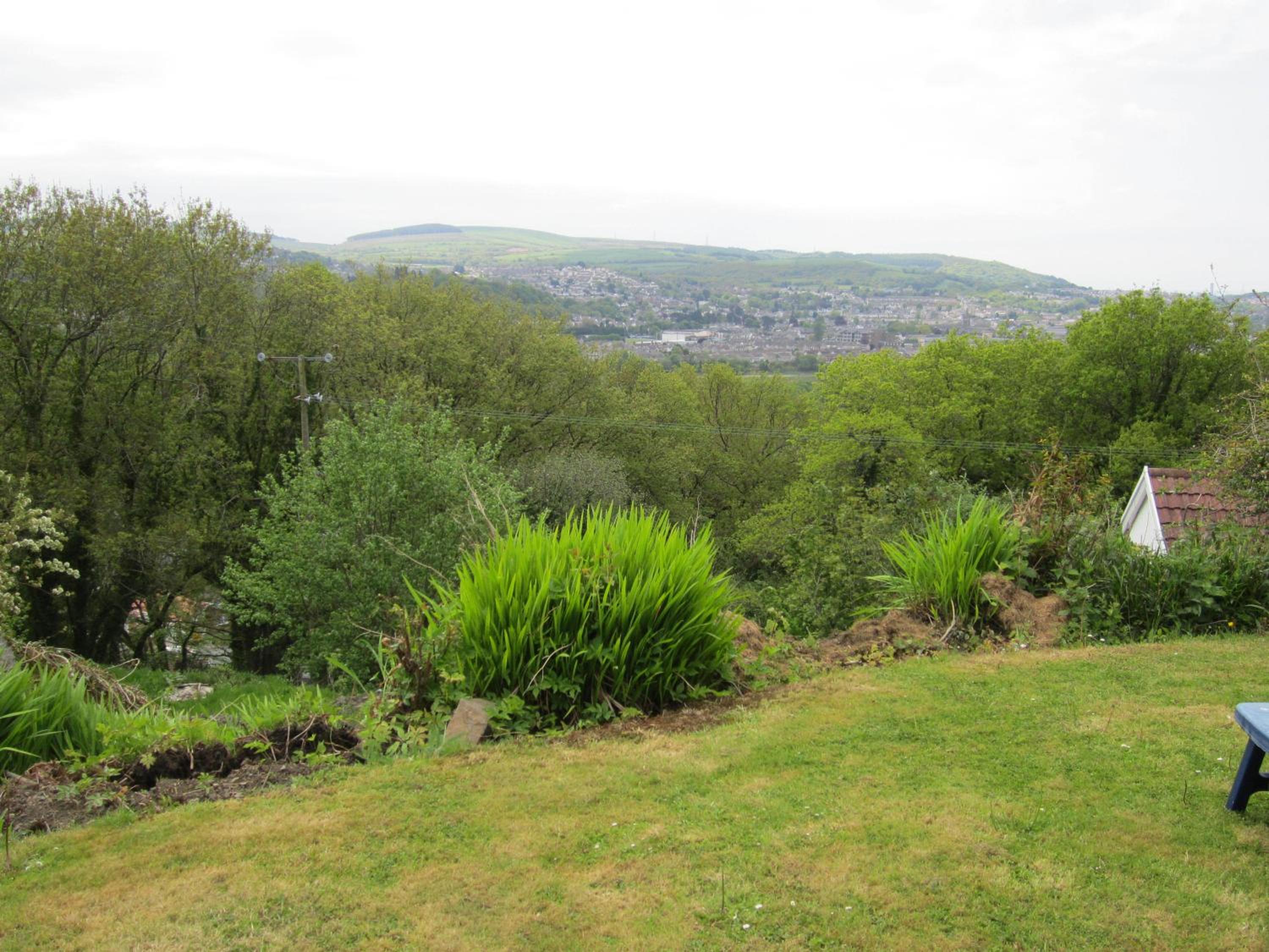 Photo 44