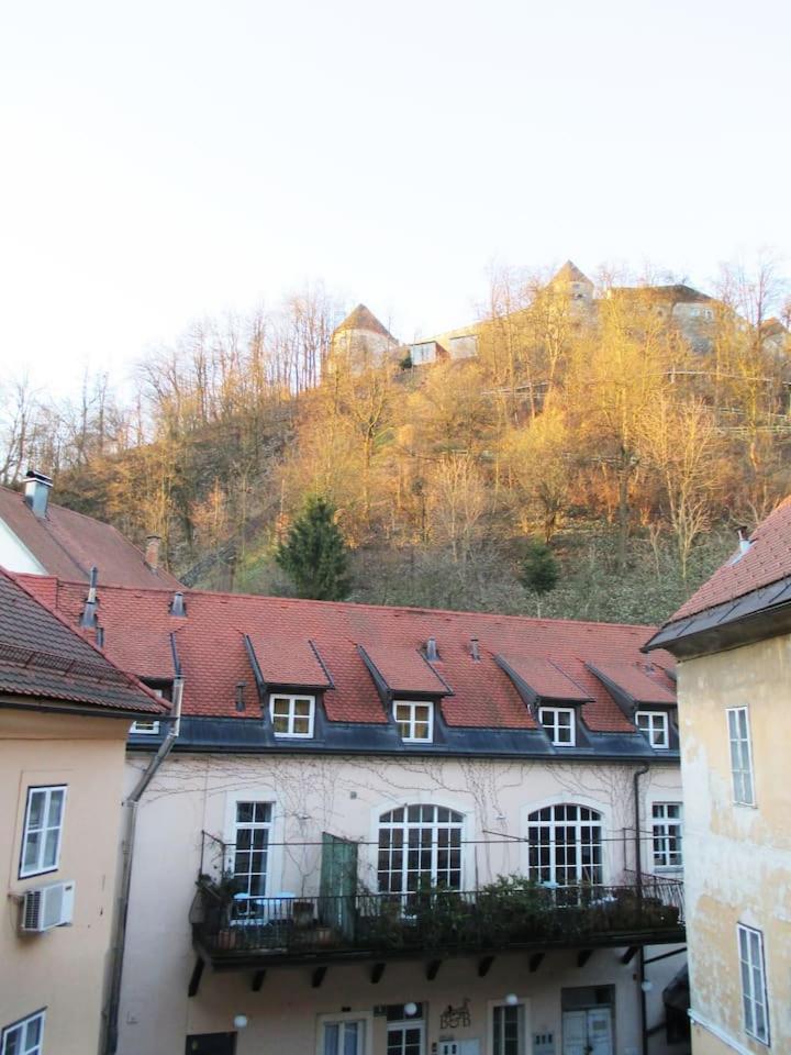 Harmony Gallery