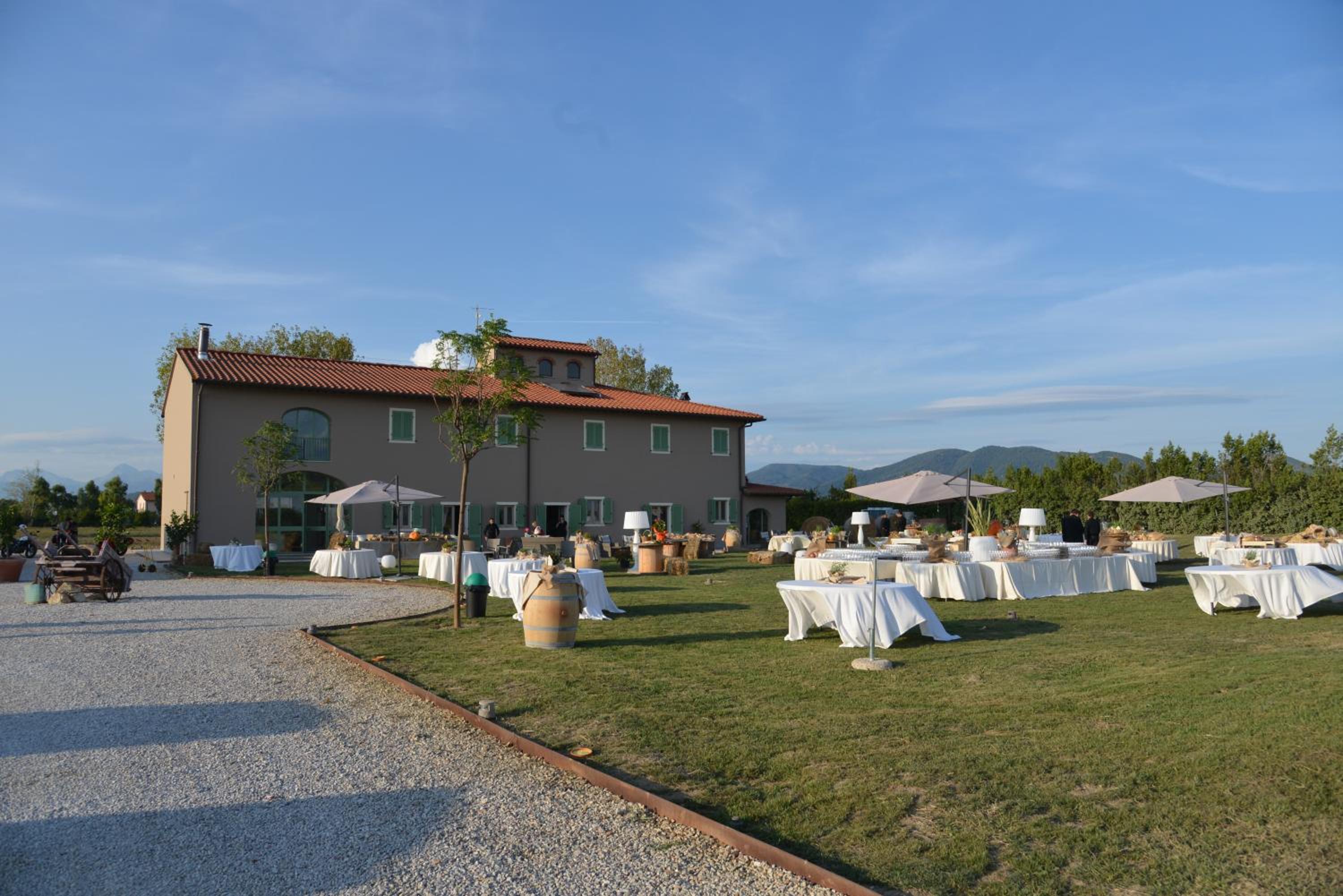 Fattoria L'Olmetto
