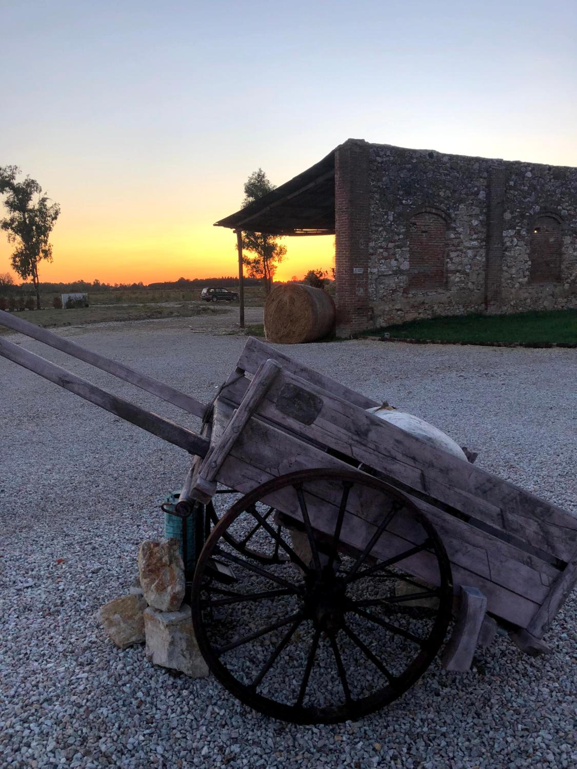 Fattoria L'Olmetto