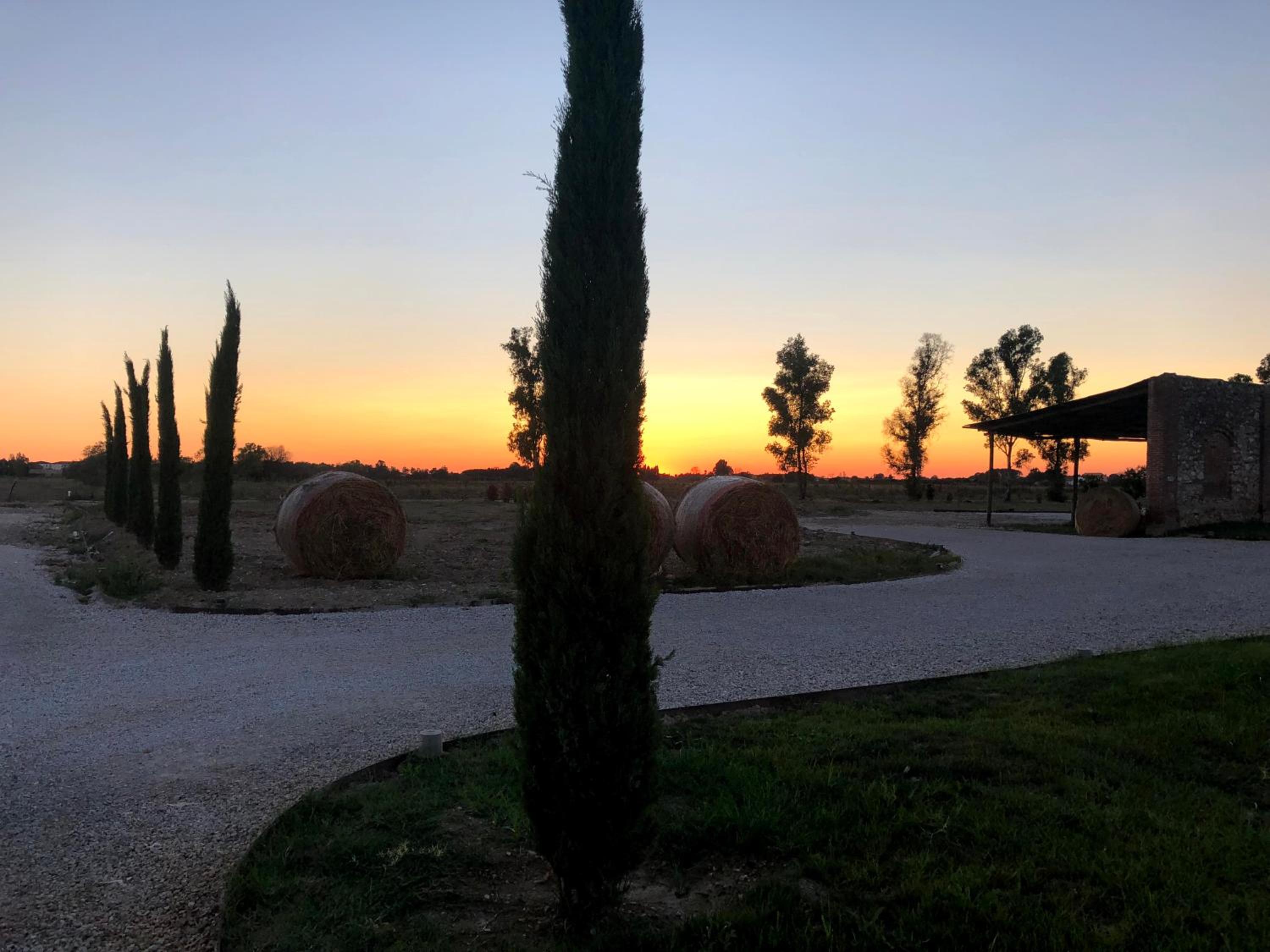 Fattoria L'Olmetto
