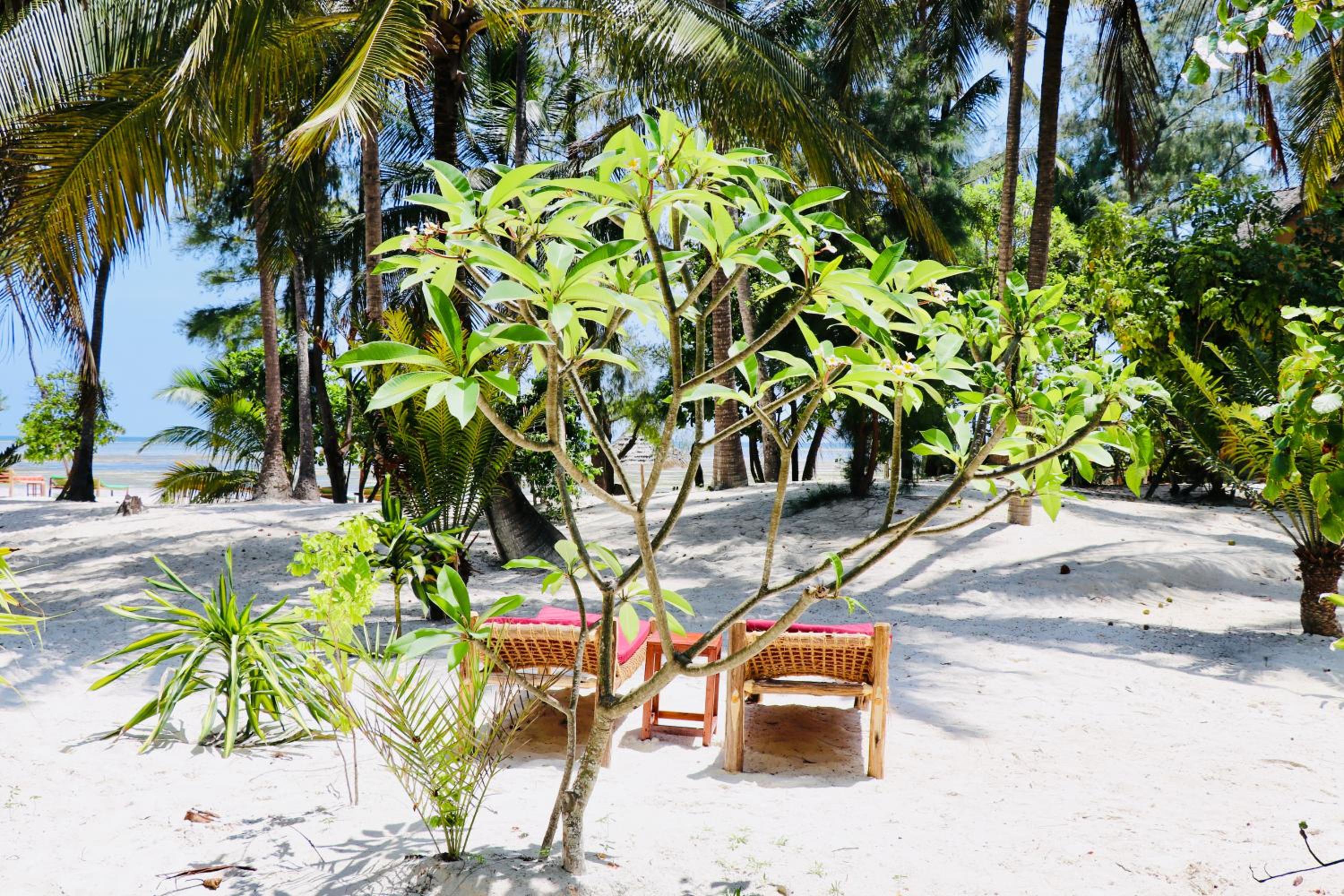 Evergreen Bungalows