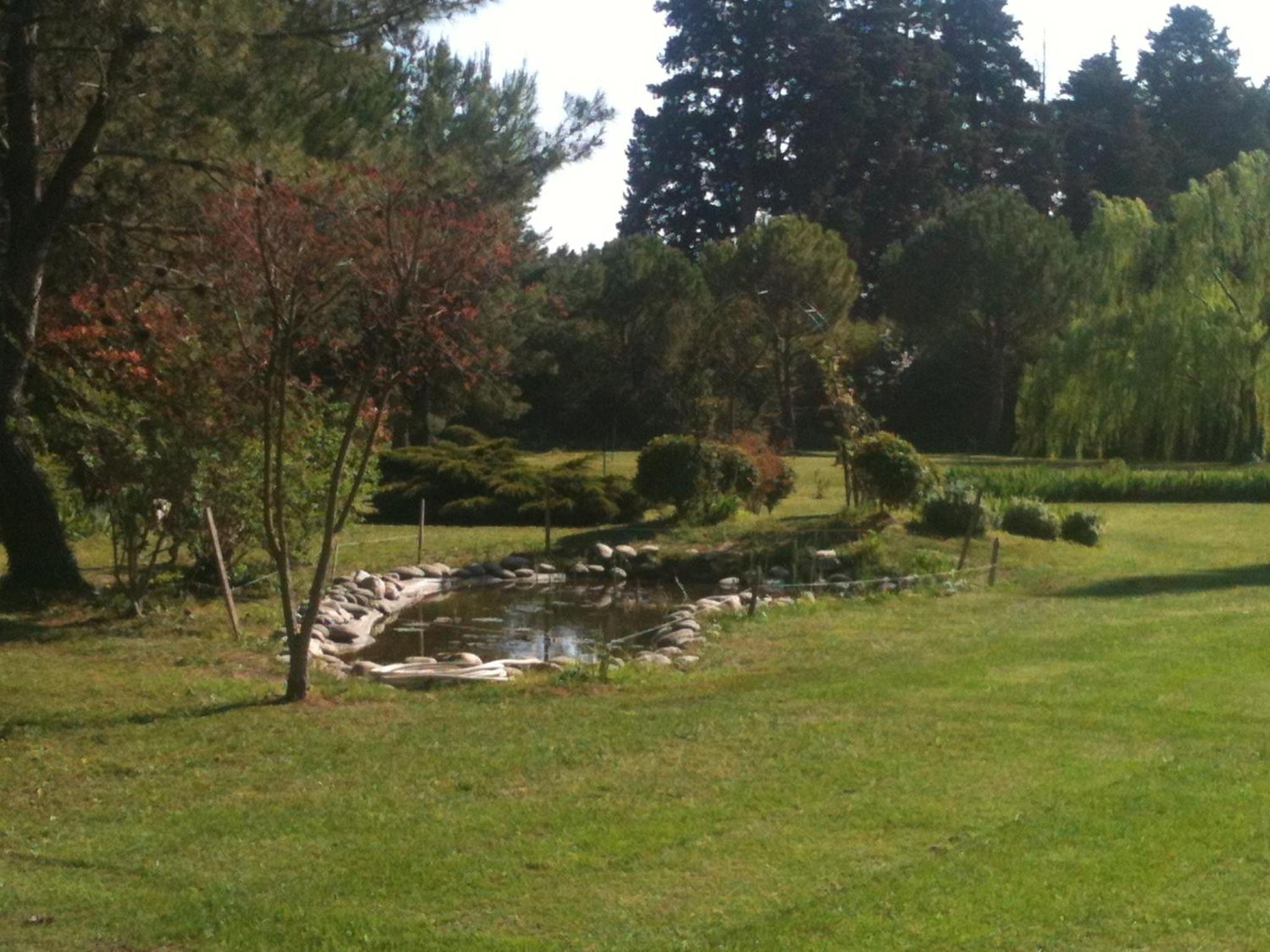 Photo 28