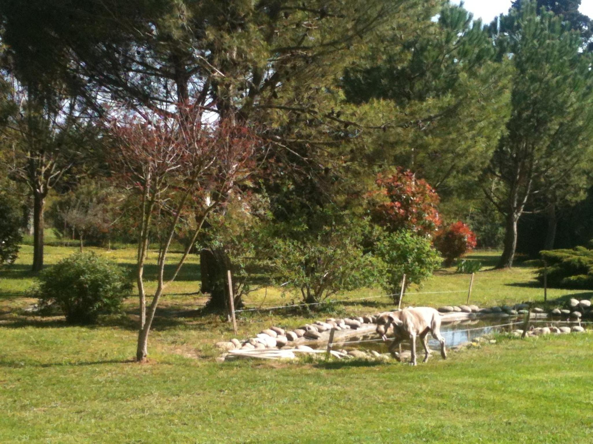Photo 40