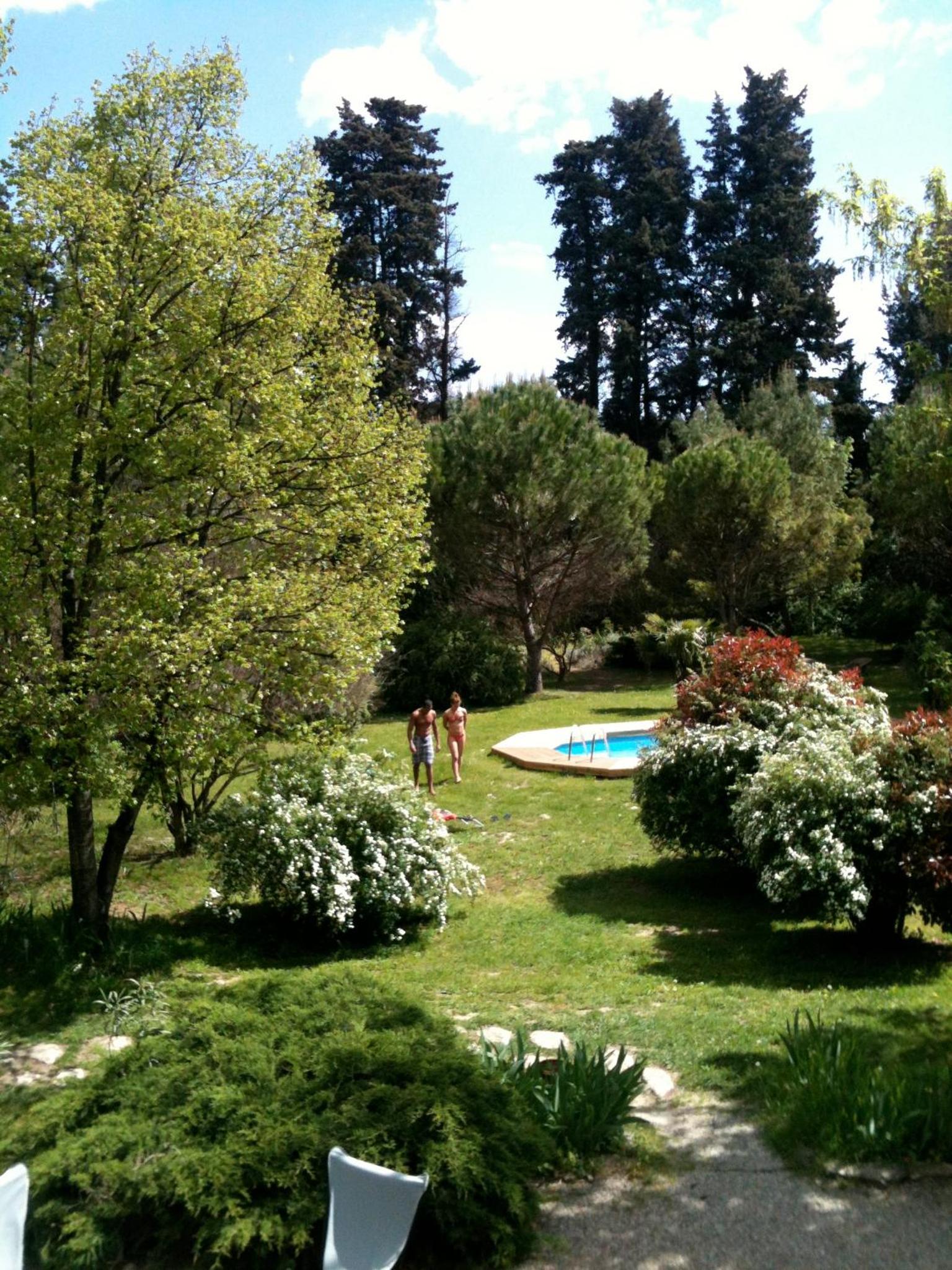 Photo 43