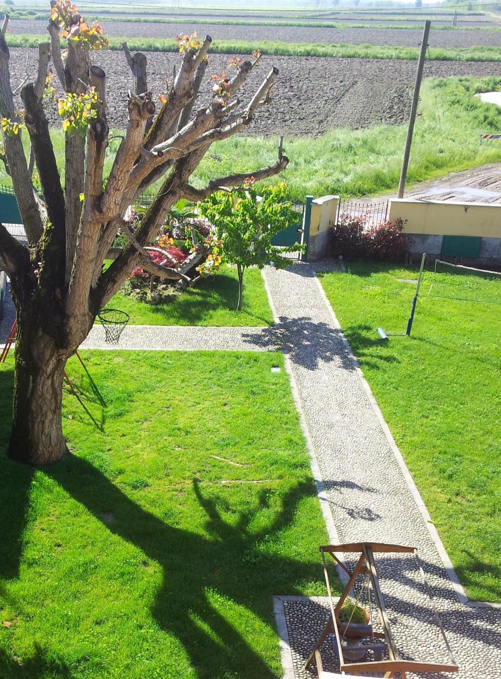 Photo 26