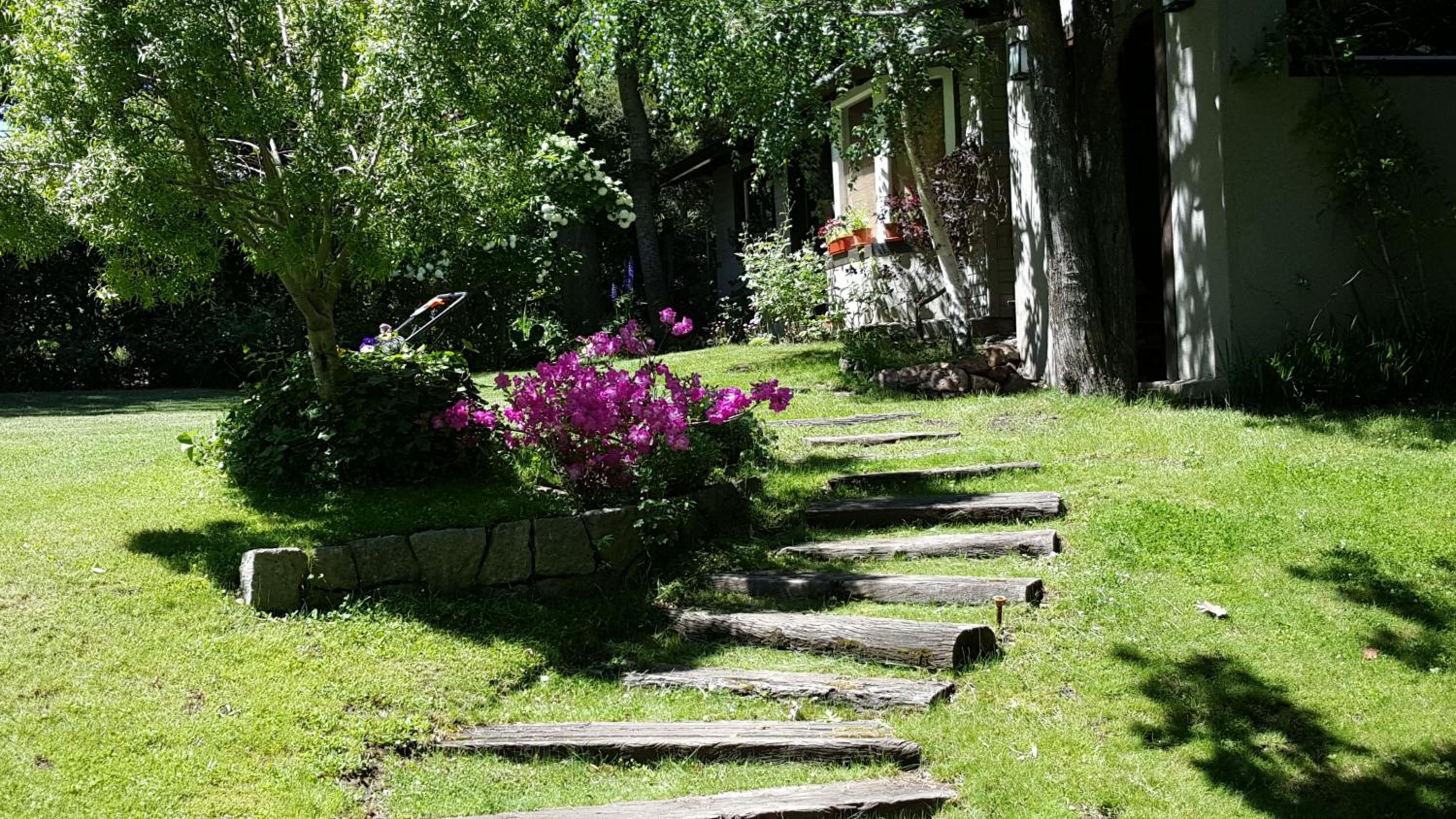Torcazas