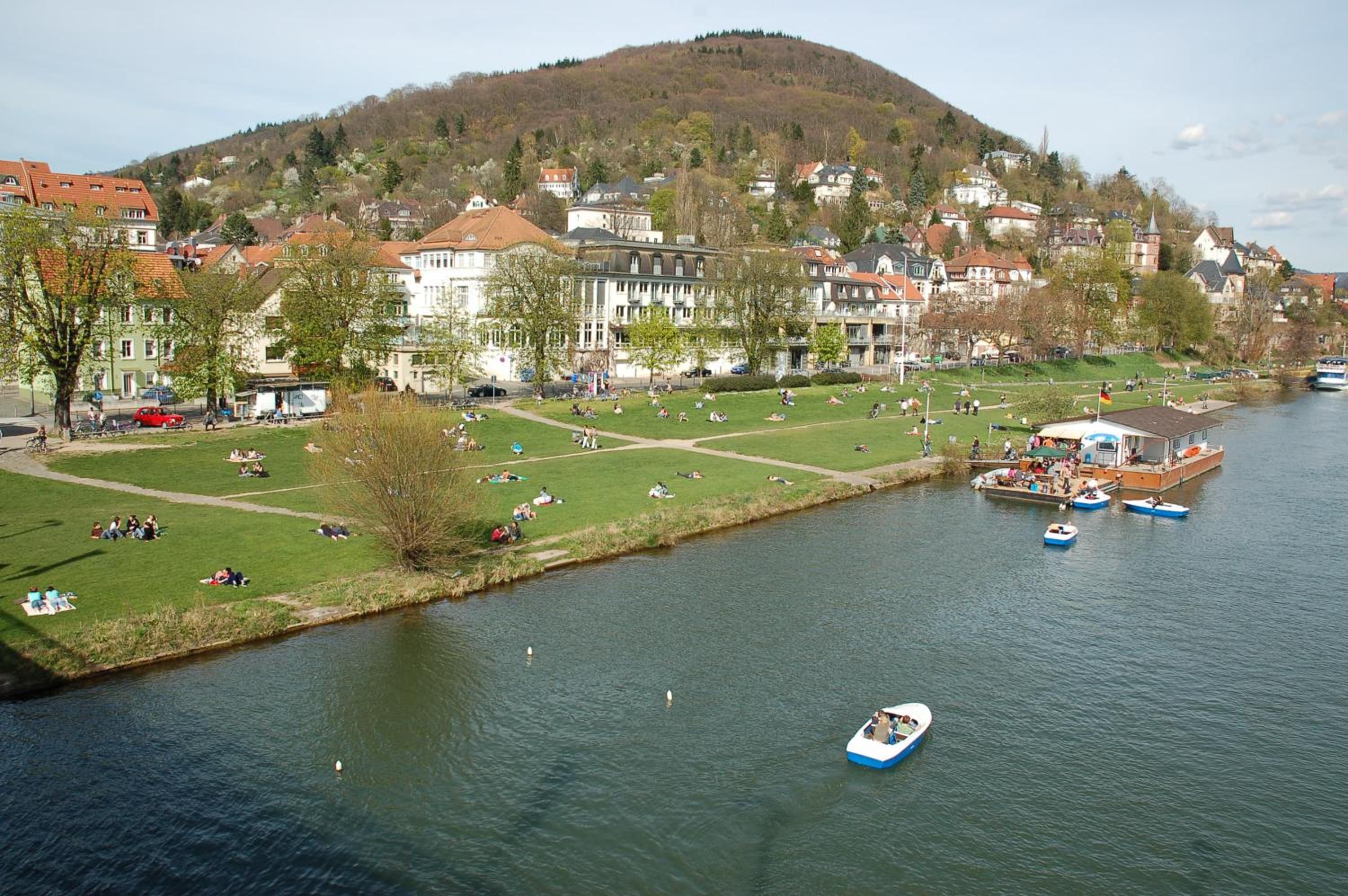 Wohnung am Neckar view 2
