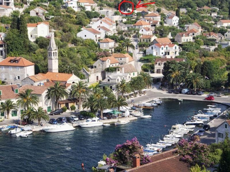 Apartman Ivana view 4