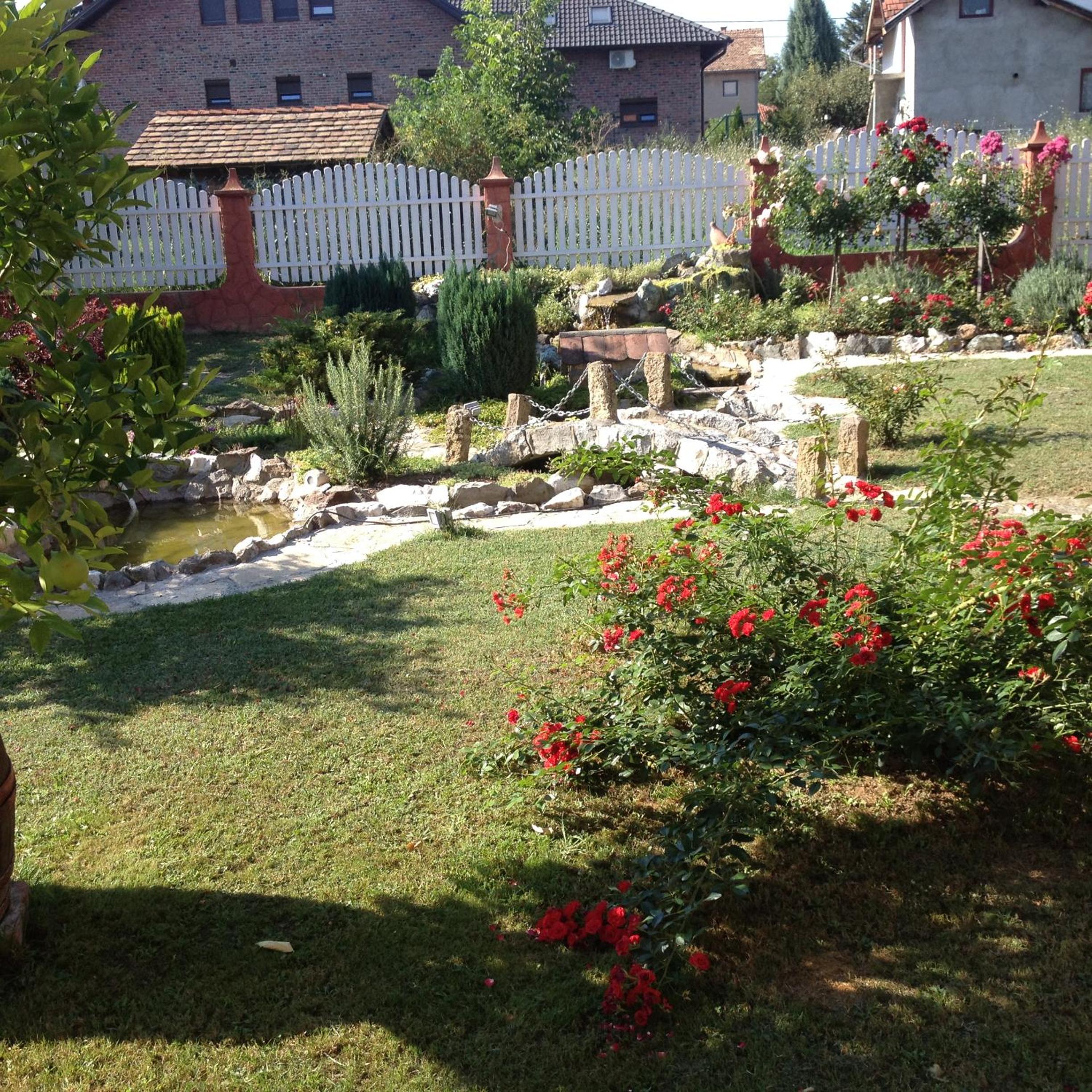 Photo 18