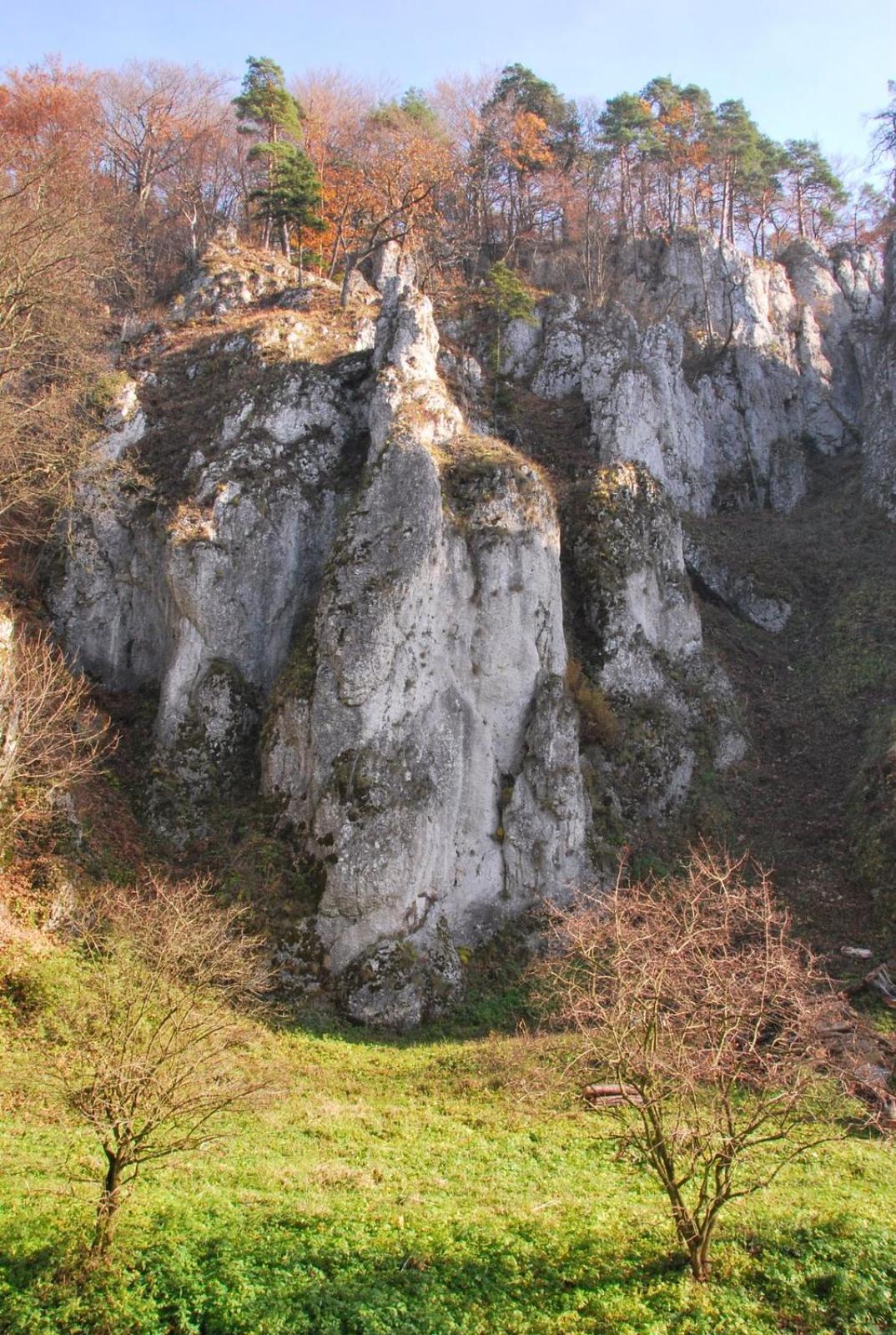 Photo 21