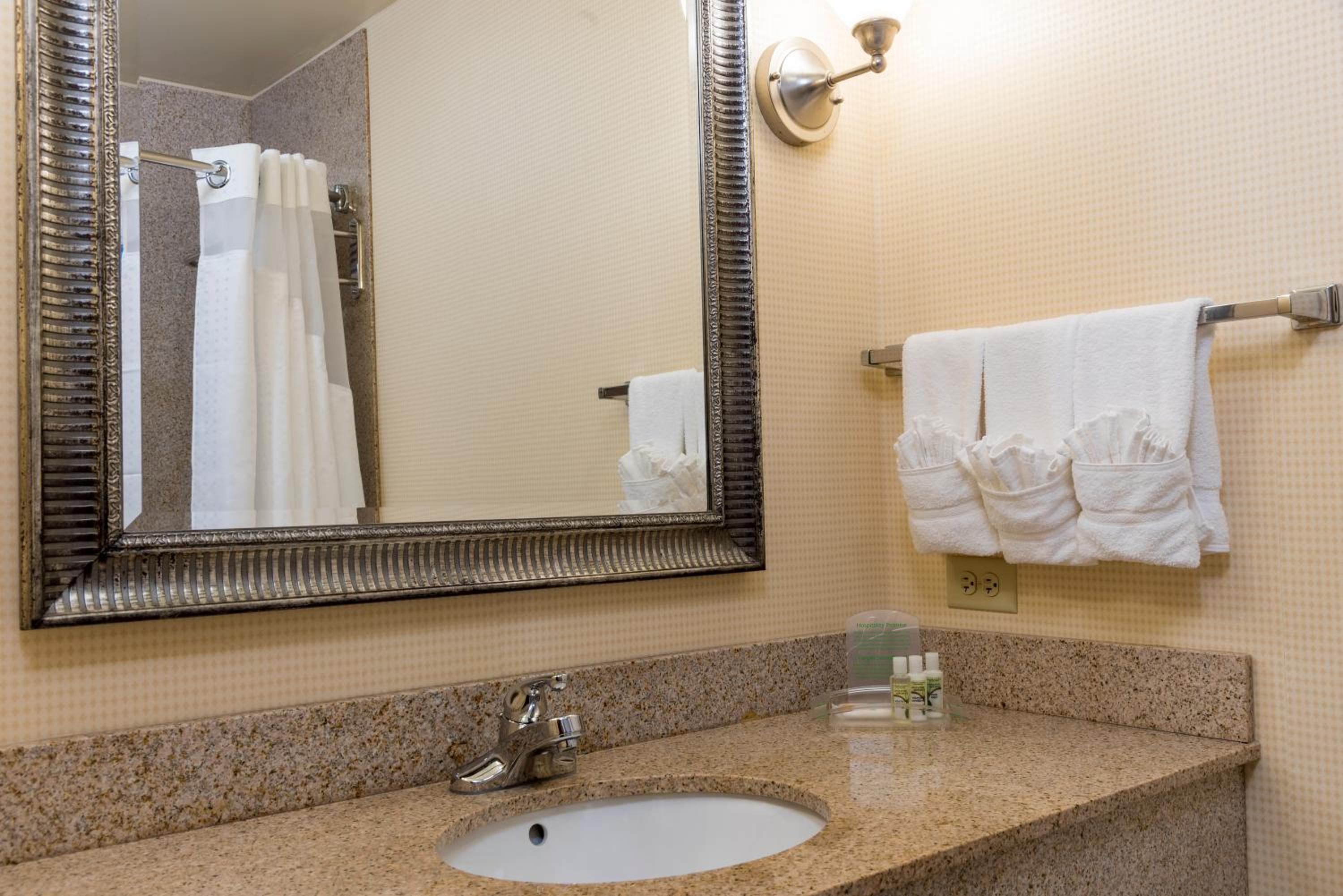 Aurora Vacations - Holiday Inn Aurora North - Naperville, an IHG Hotel - Property Image 22