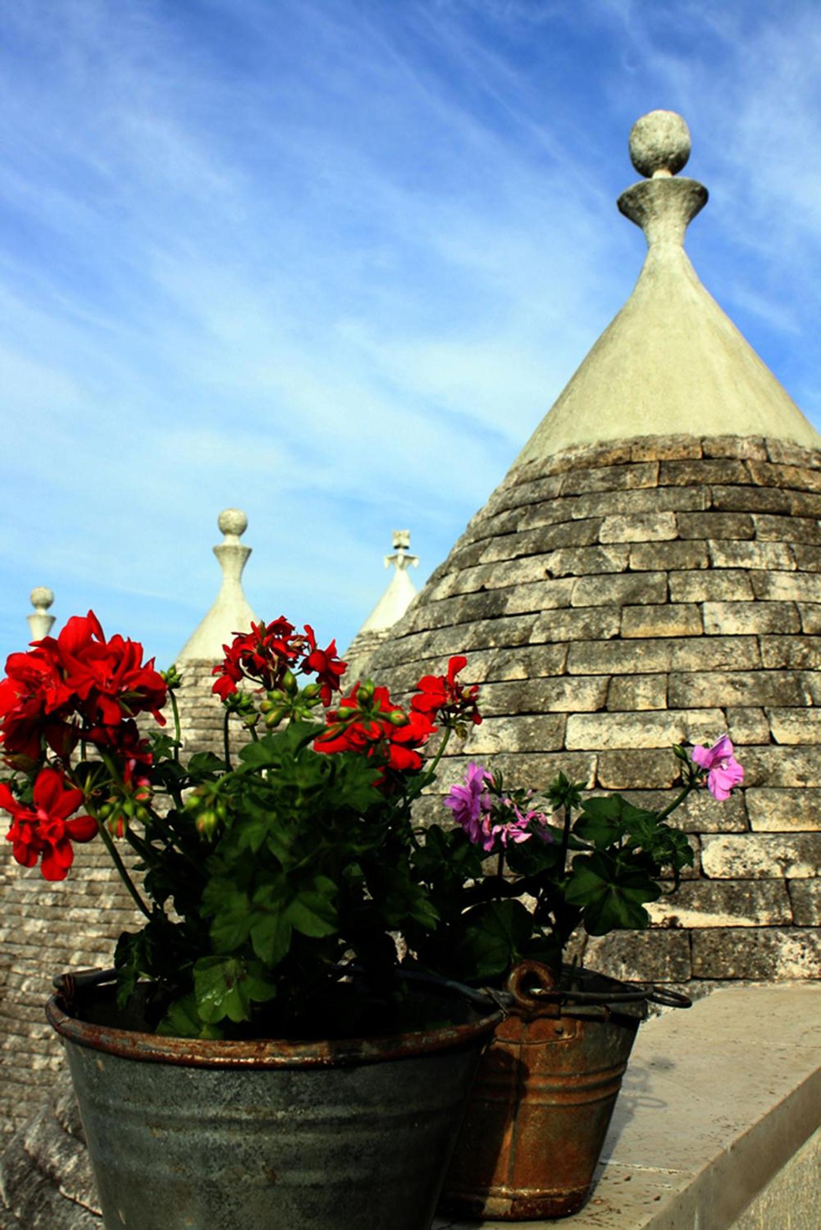 Masseria Peppeturro