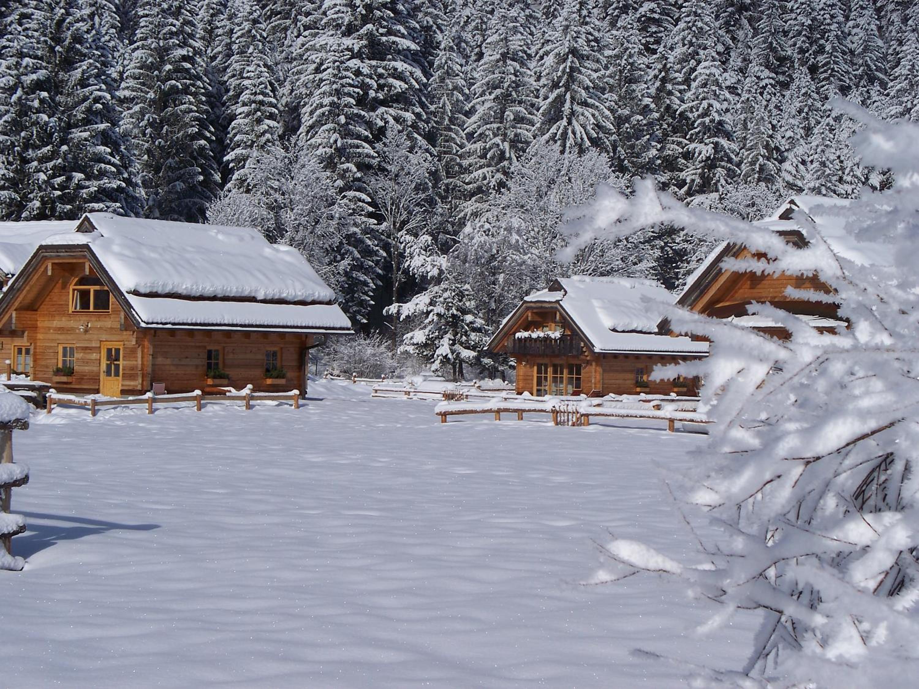 Alpi Giulie Chalets view 5