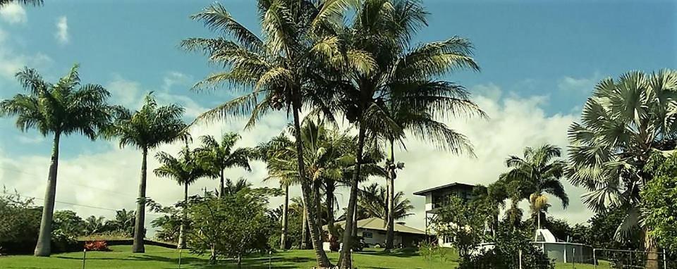 Big Island Vacations - Island Goode's - Luxury Adult Only Accommodation near Hilo - Property Image 1