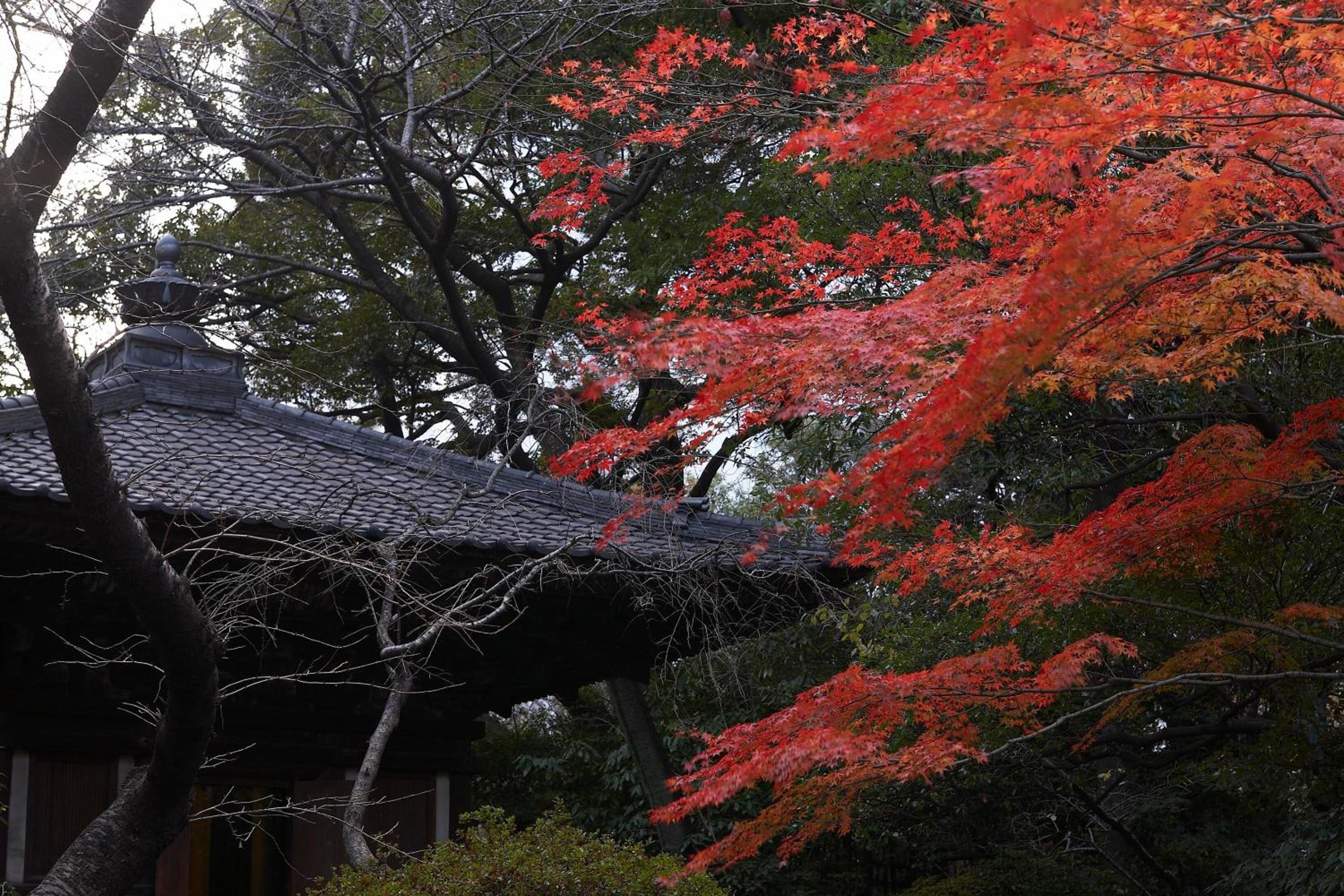 Grand Prince Hotel Takanawa