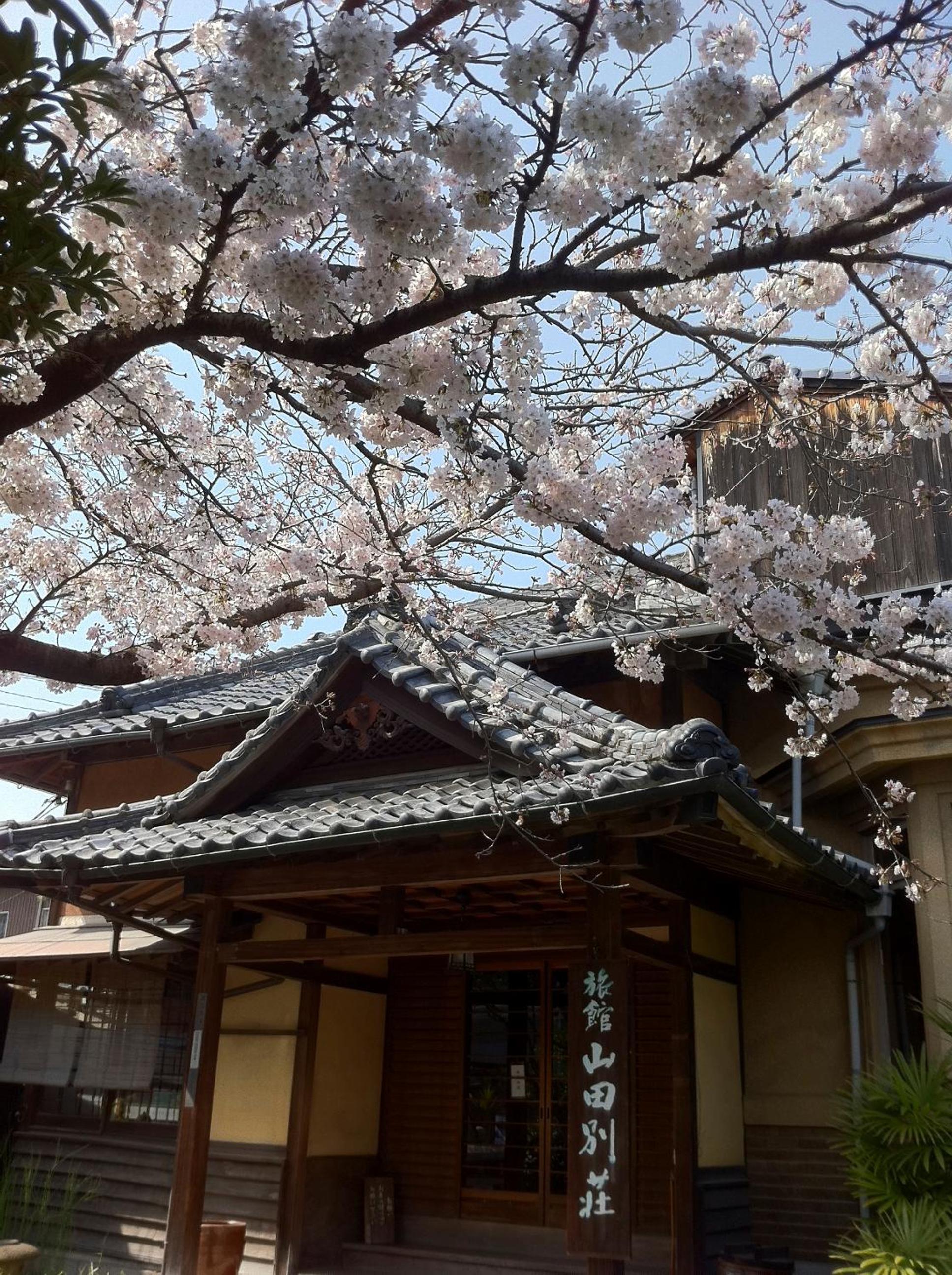 Yamada Bessou くつろぎの温泉宿 山田別荘