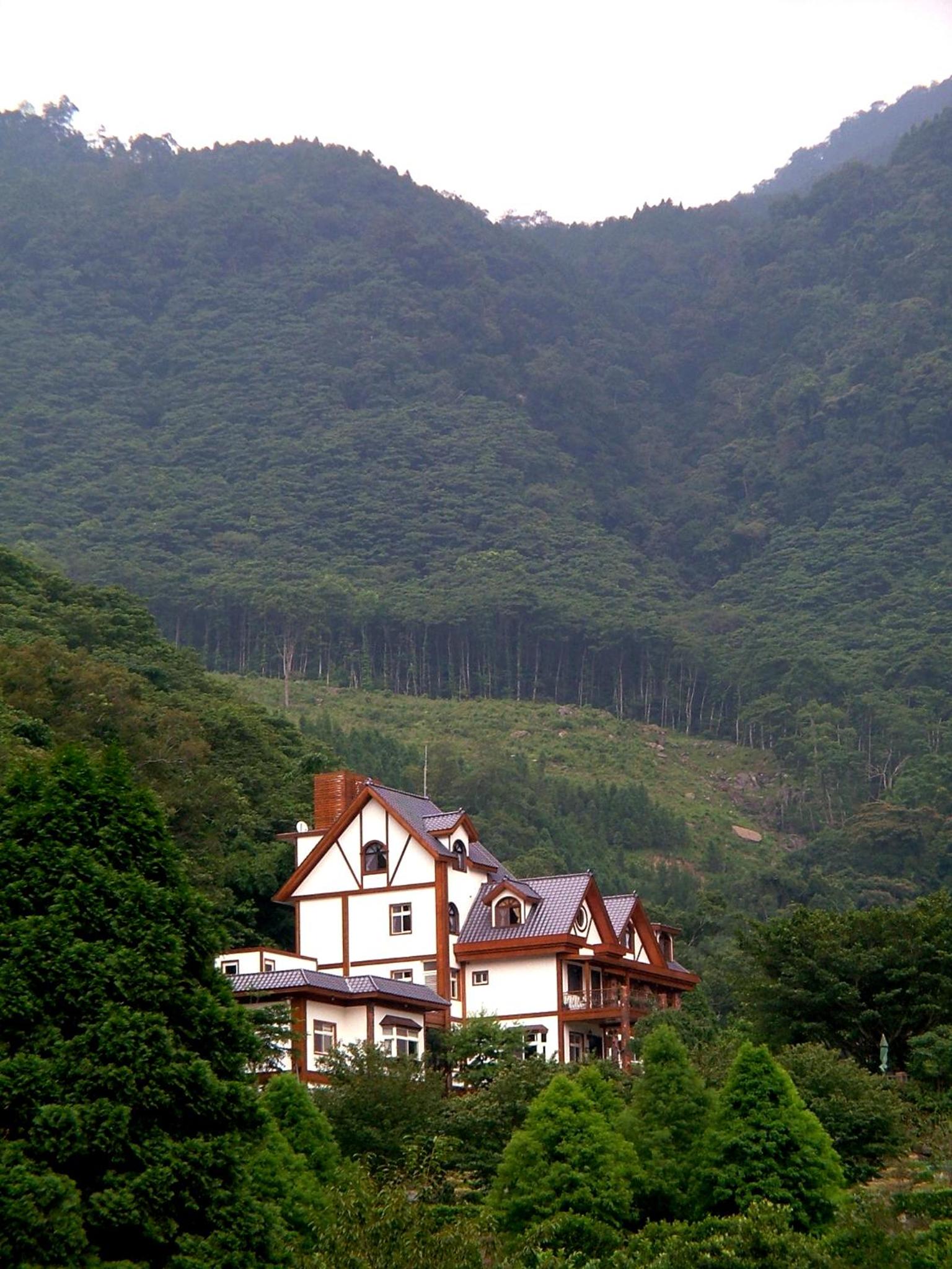 Photo 45